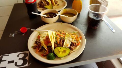 Borrego De Oro image 2