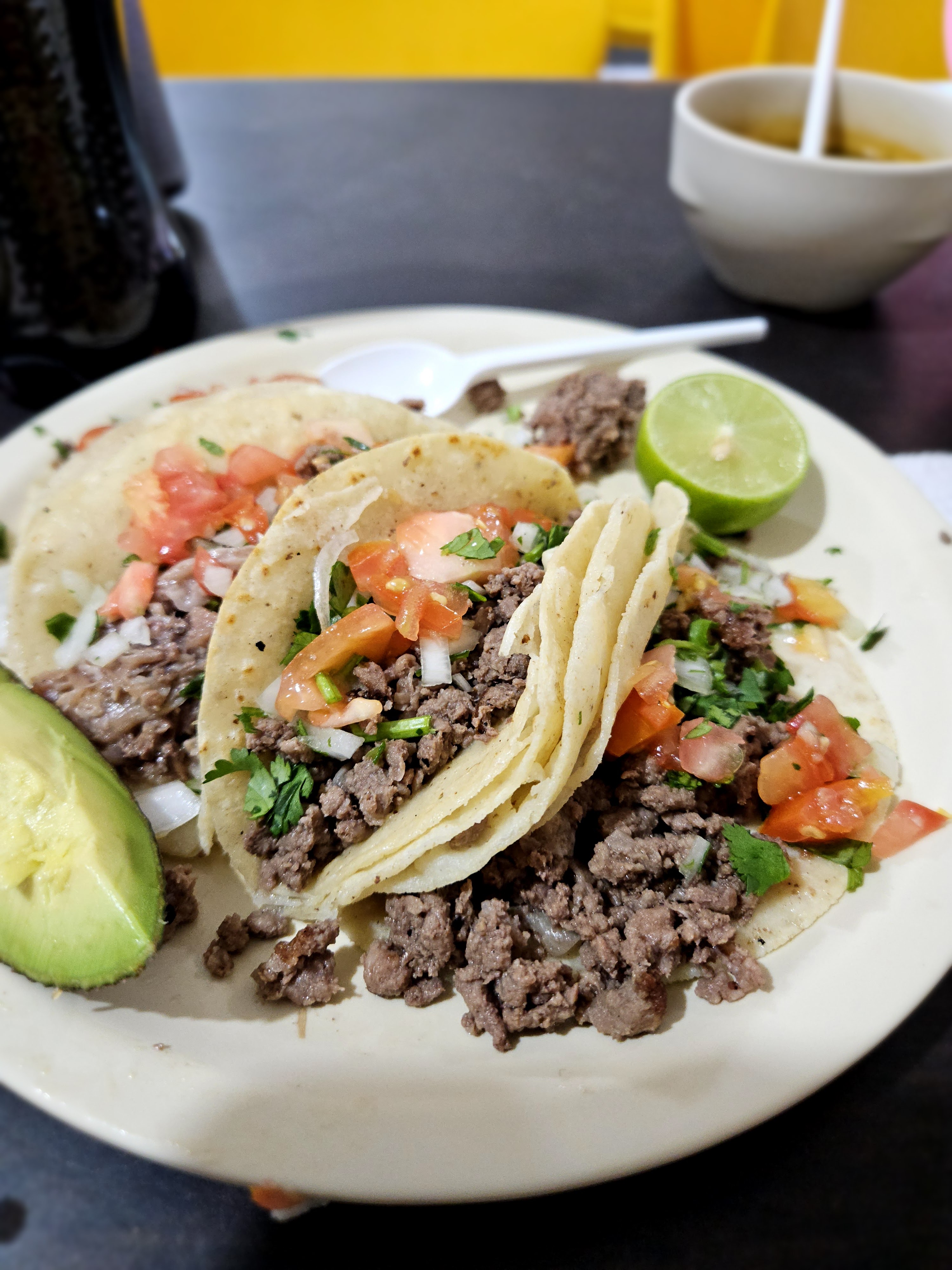 Borrego De Oro image 3