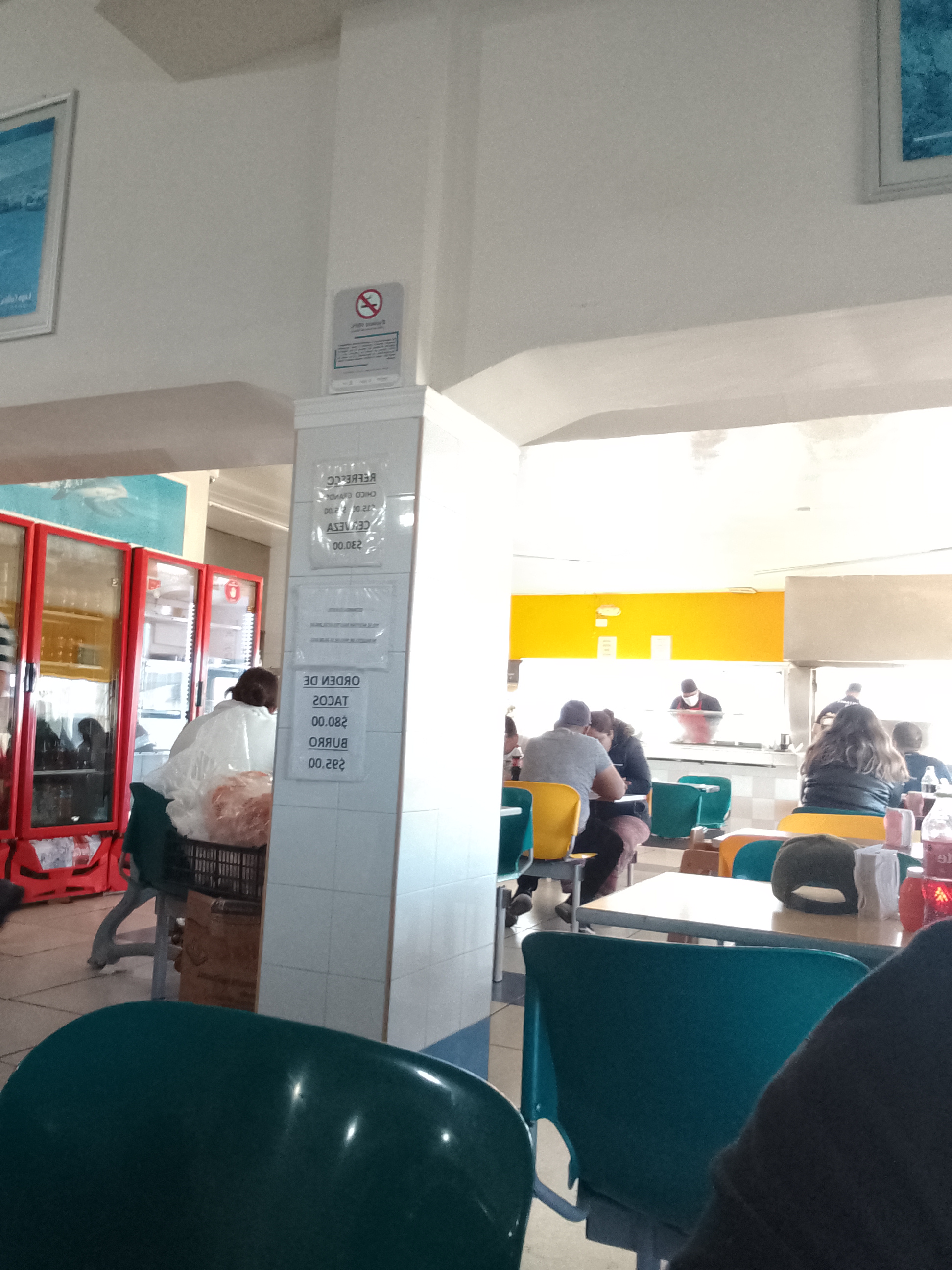 Borrego De Oro image 5