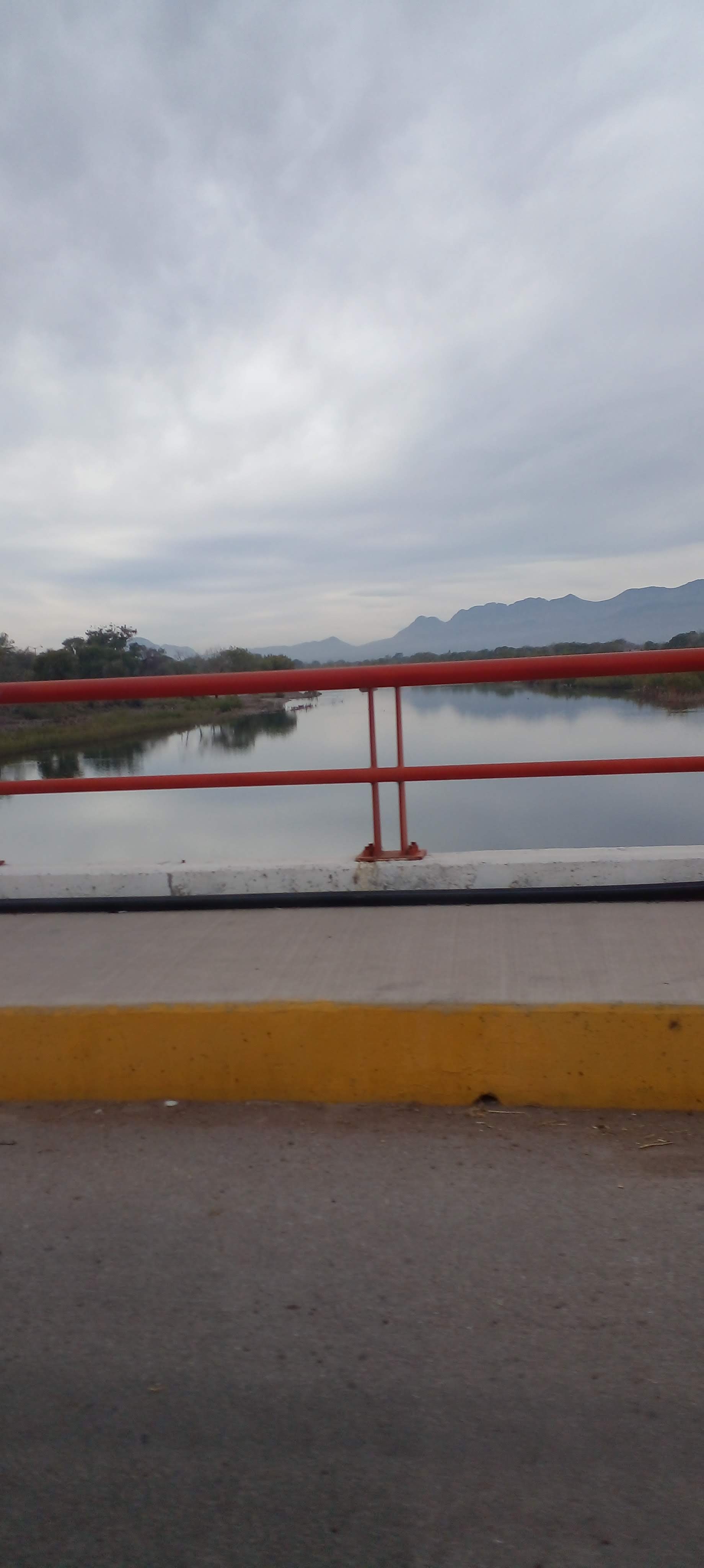 Borrego De Oro image 8