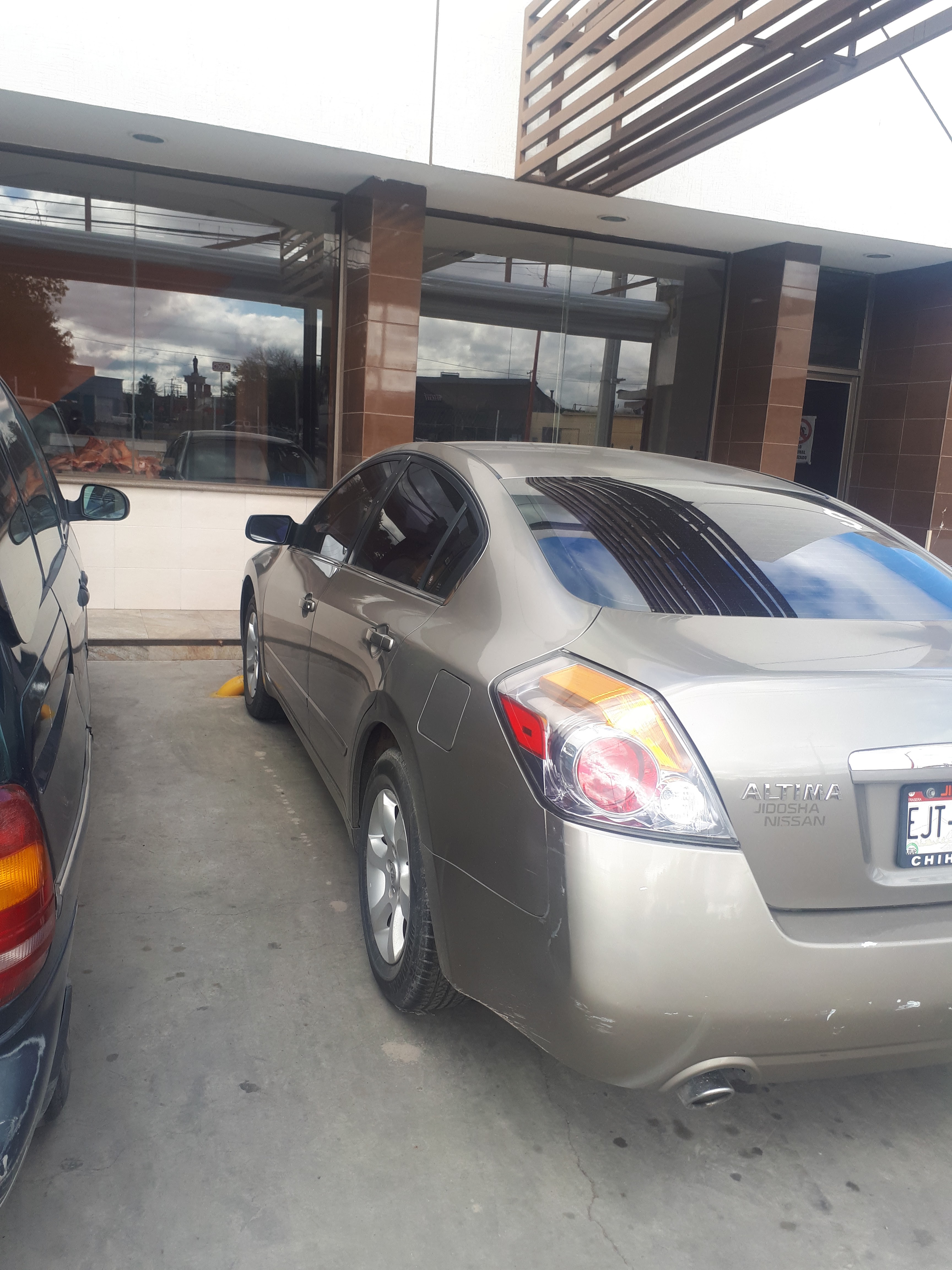 Borrego De Oro image 9