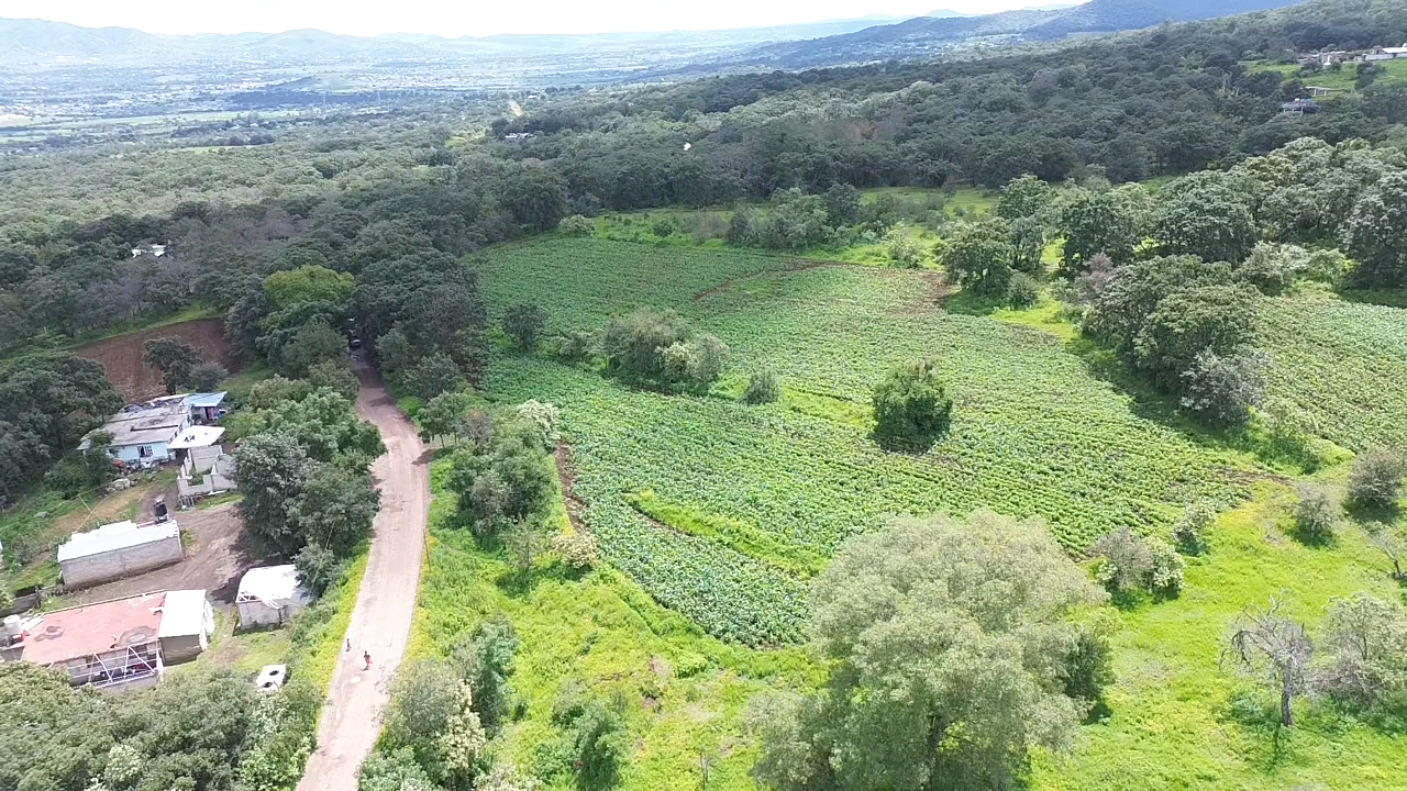 Miscelánea Ramírez image 8