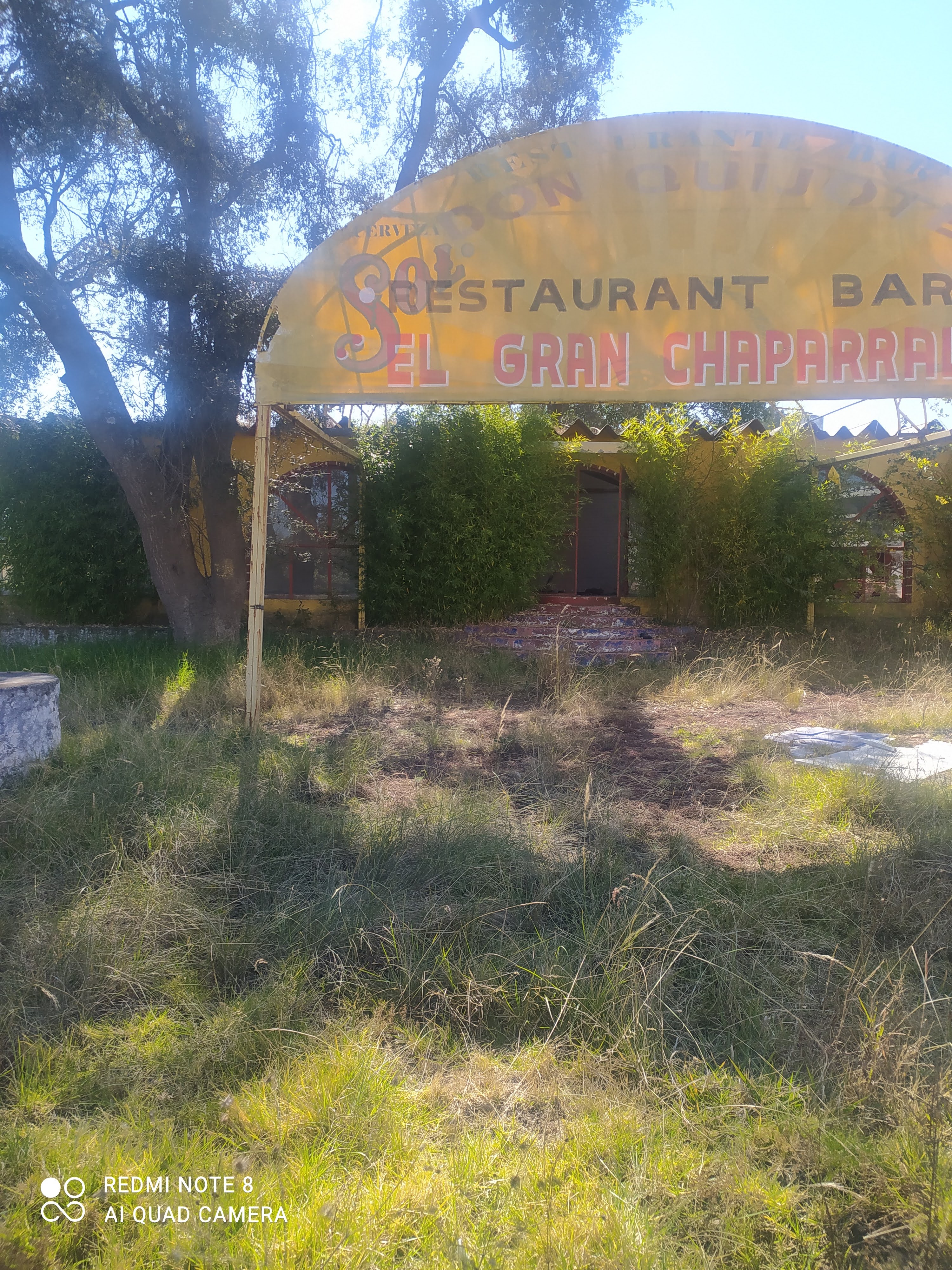 Restaurante Bar familiar La Casa de Costera image 10