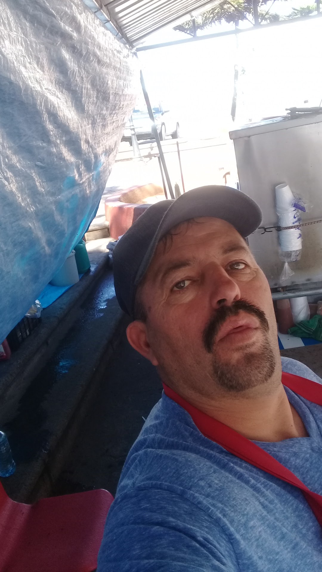 El Rey del Taco image 2