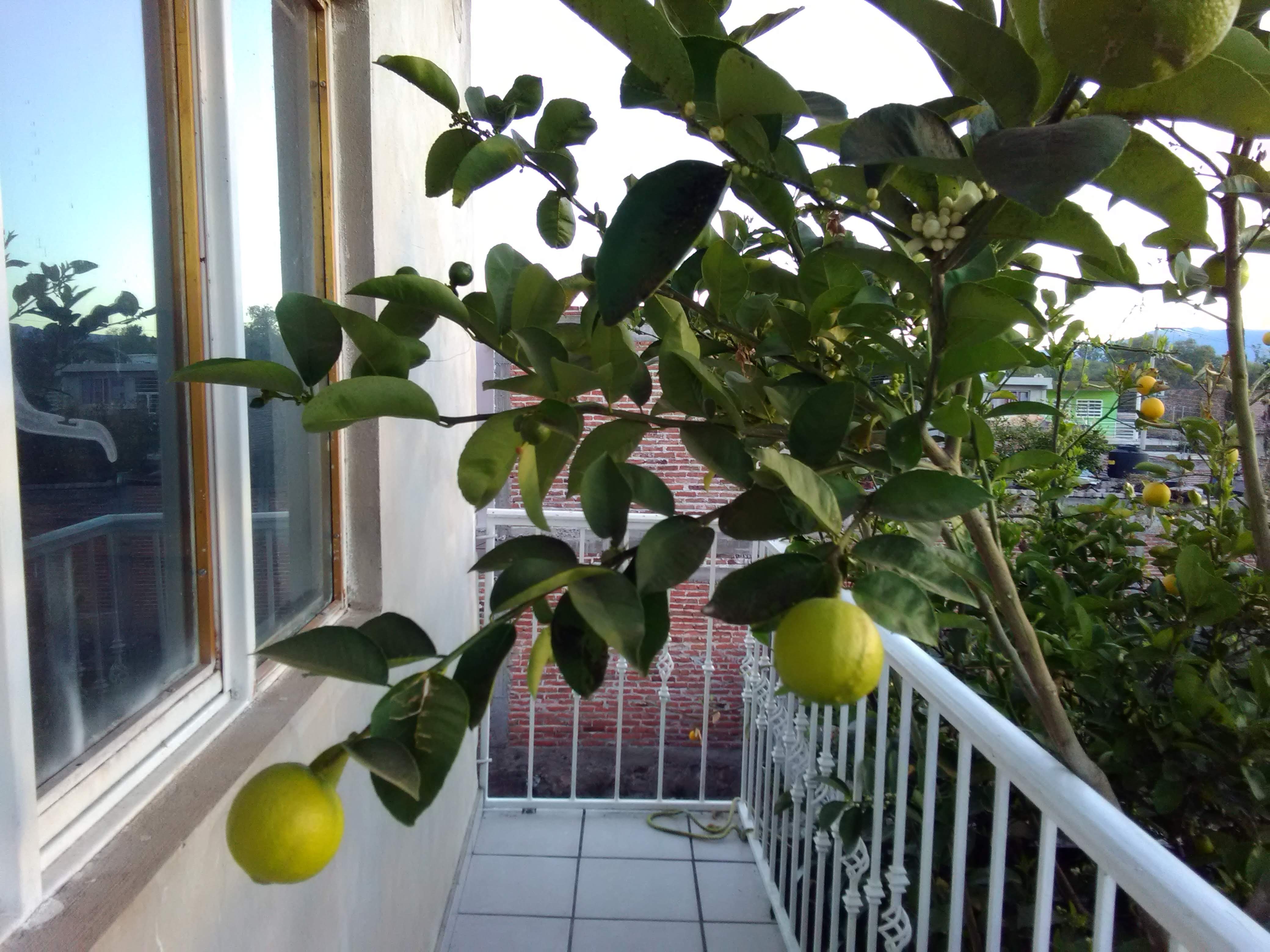 Cash Burguer's image 9