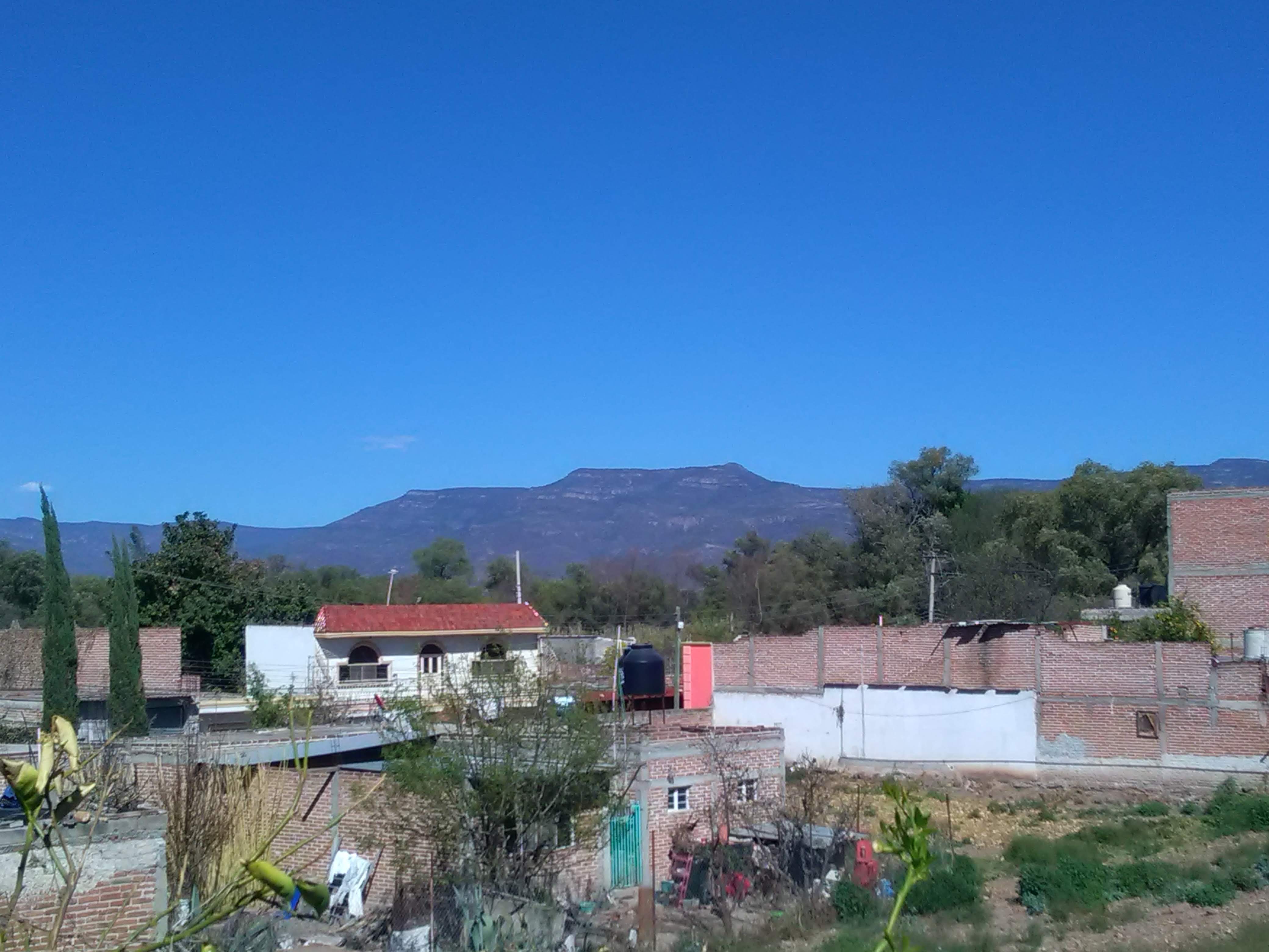 Cash Burguer's image 10