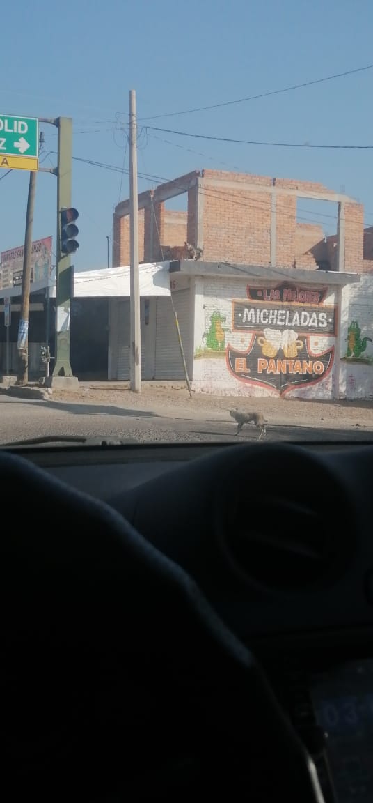 Micheladas el pantano image 3