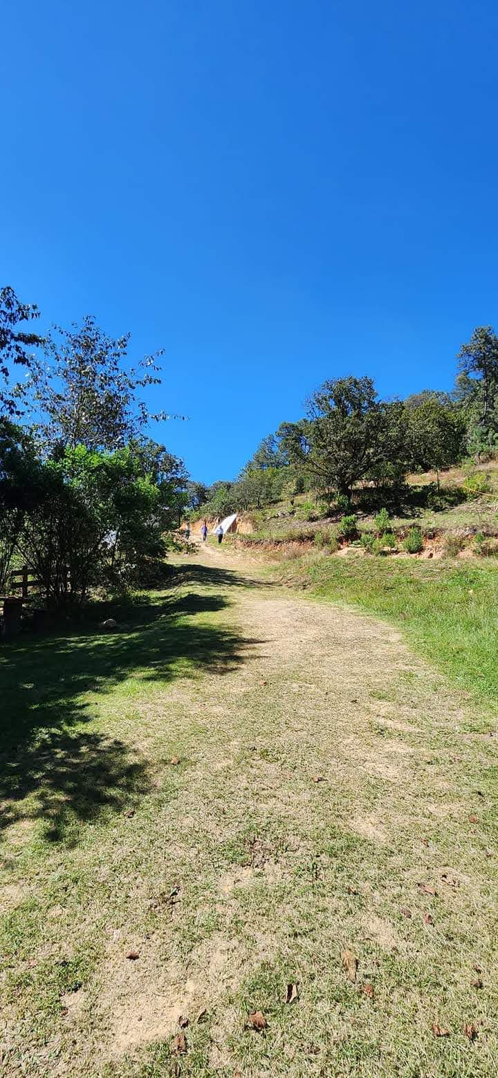 Comedor de truchas "Rancho San Miguel" image 1