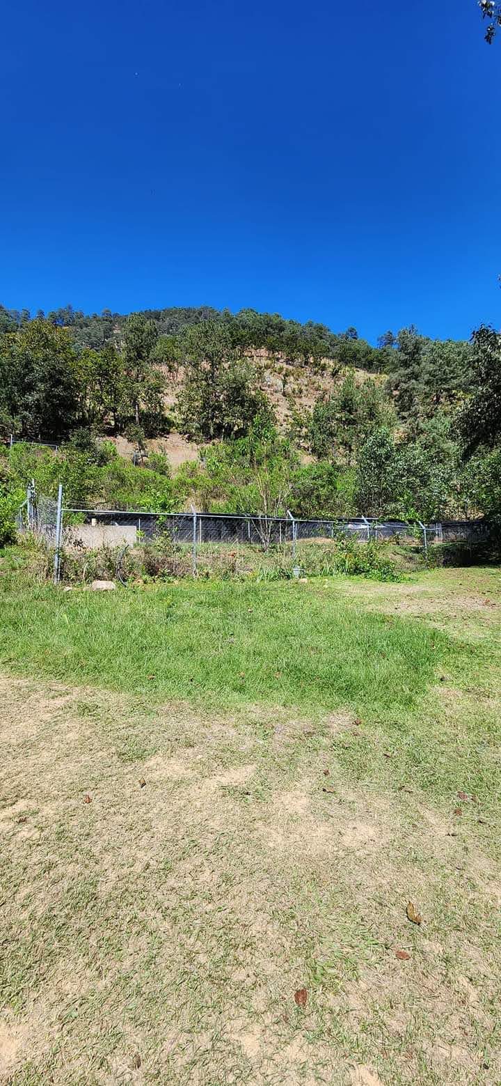 Comedor de truchas "Rancho San Miguel" image 5