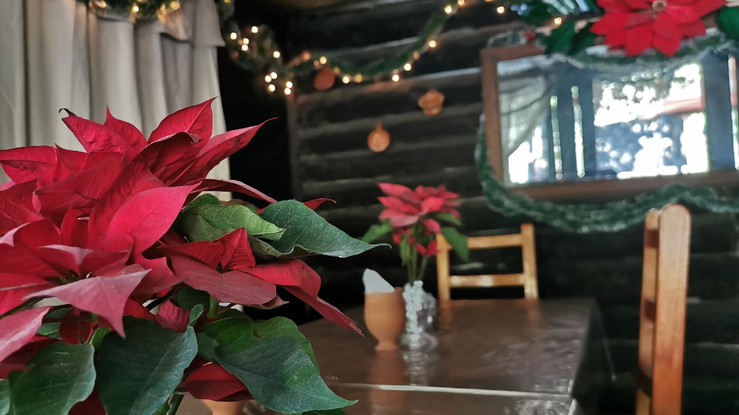 Comedor cazuelas huastecas image 2