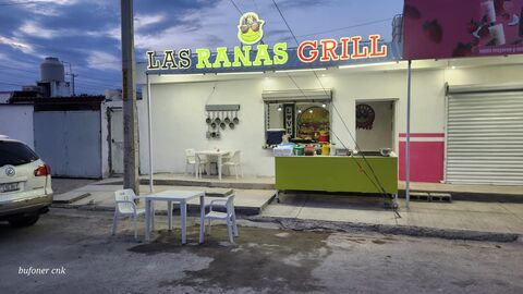 Las Ranas Grill image 2