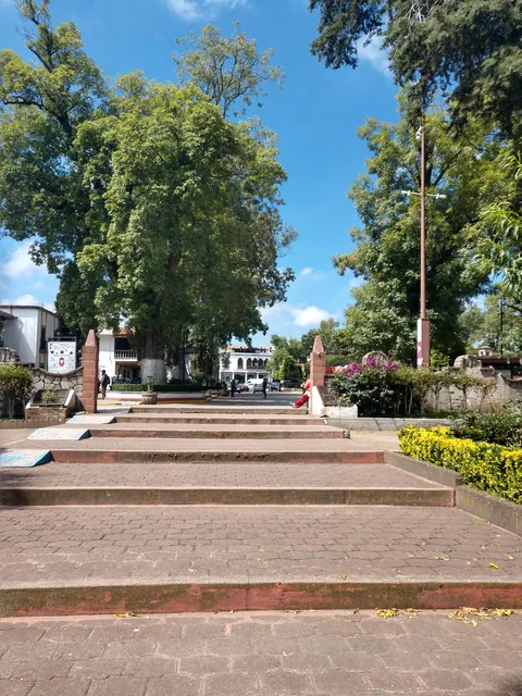 Villa Jardin Salon y Restaurante image 7