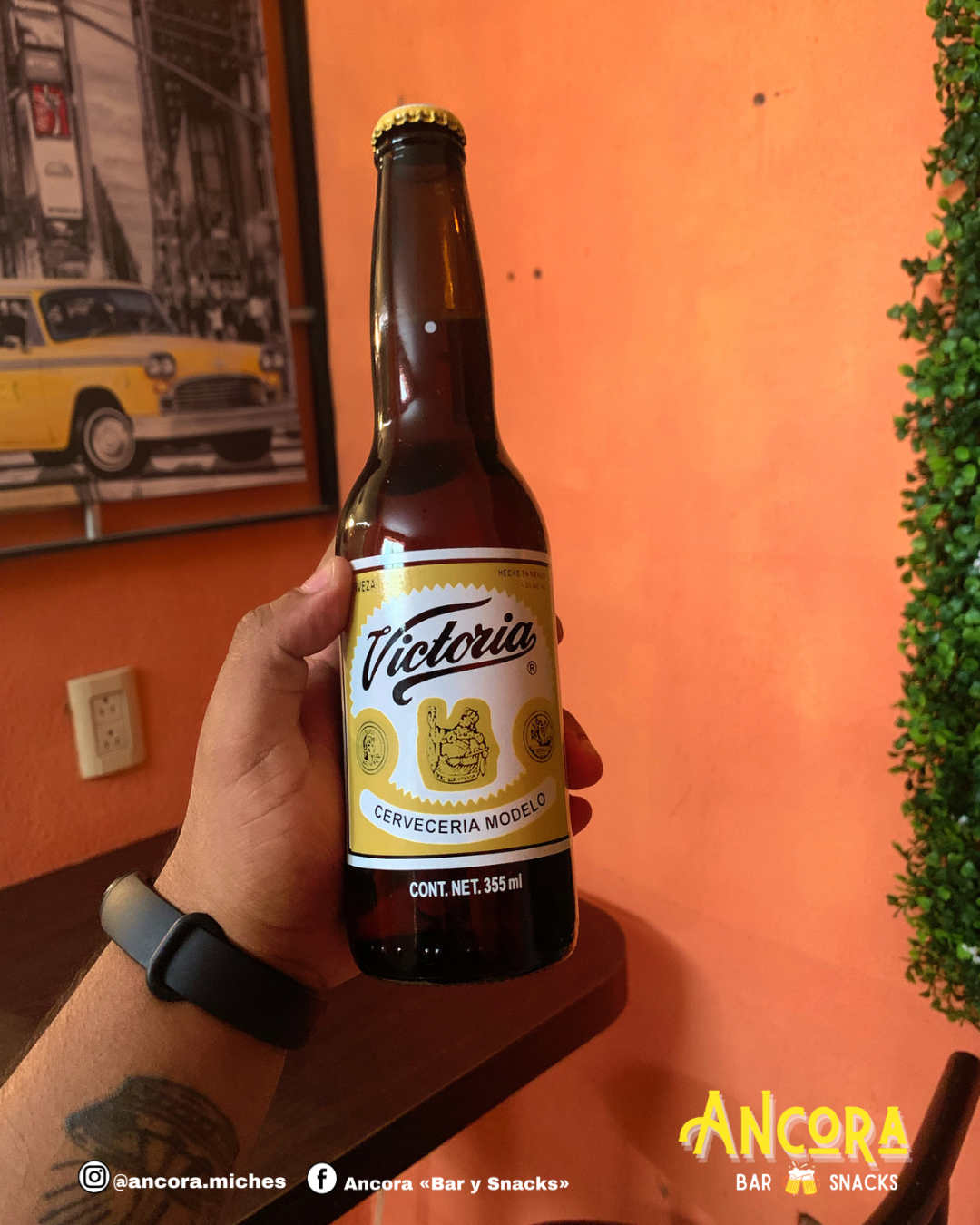 Ancora «Bar & Snacks» image 1