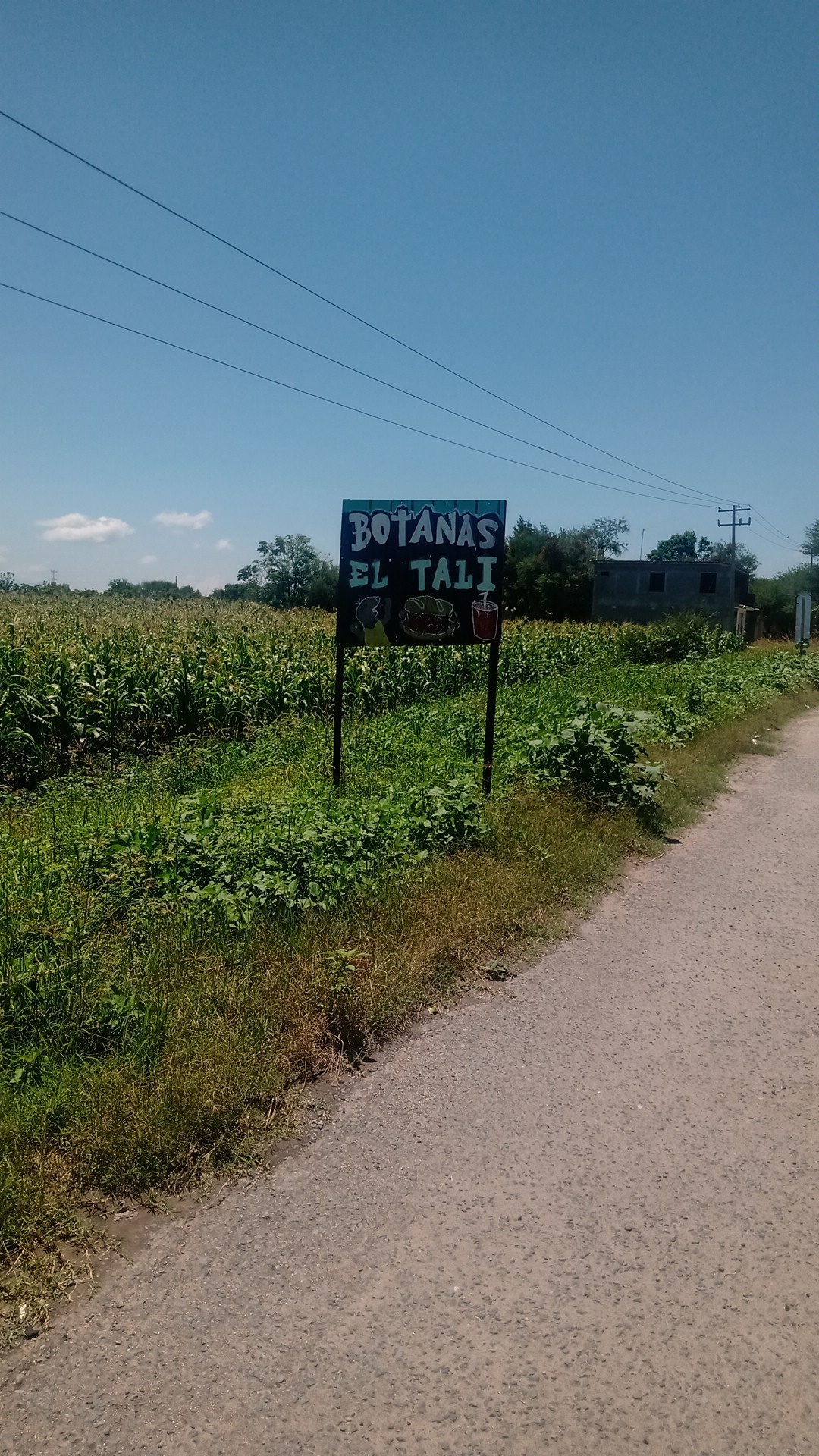 Botanas el tali image 2