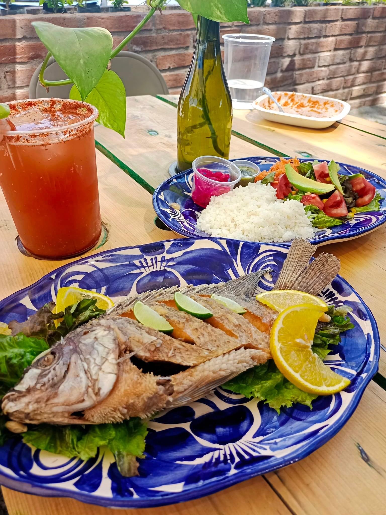 El Mezquital image 3