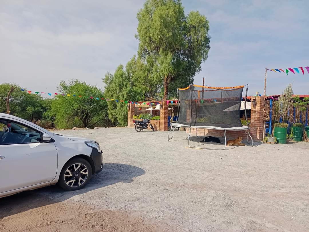 El Mezquital image 8