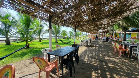 El Manglar image 1