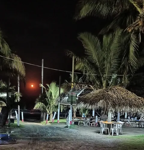 El Manglar image 3