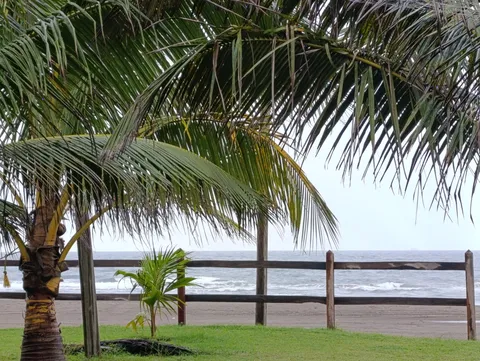 El Manglar image 5