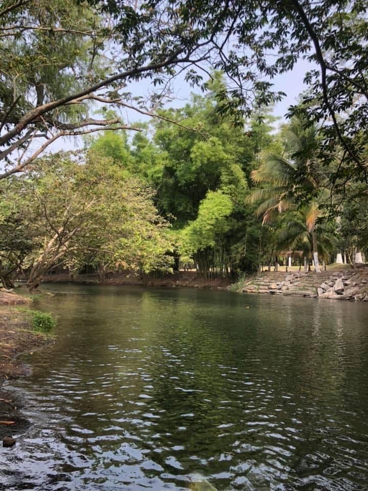 Los Hermanos image 6