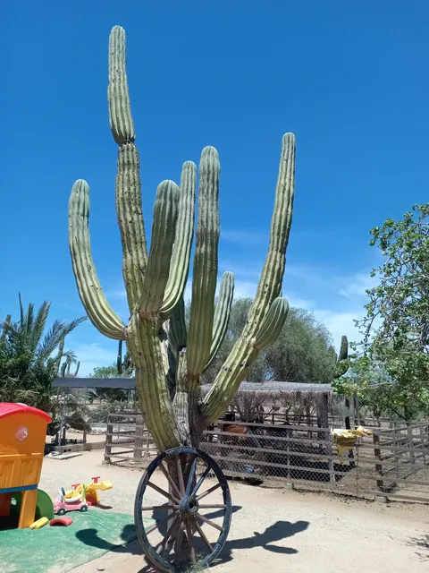 La Garita image 3