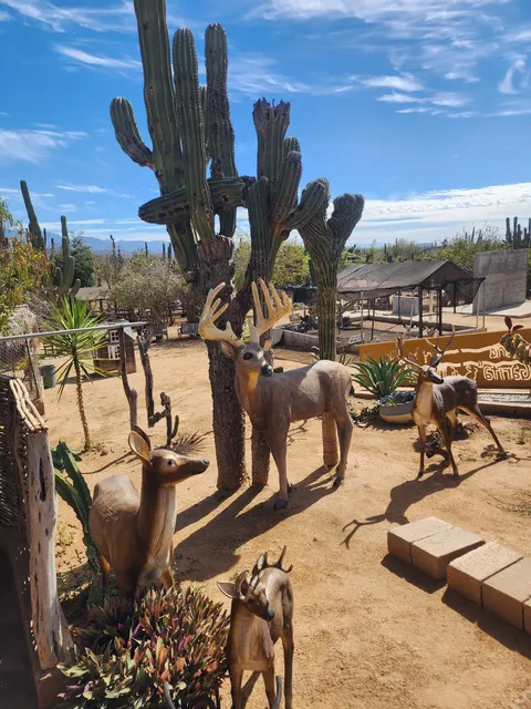 La Garita image 7