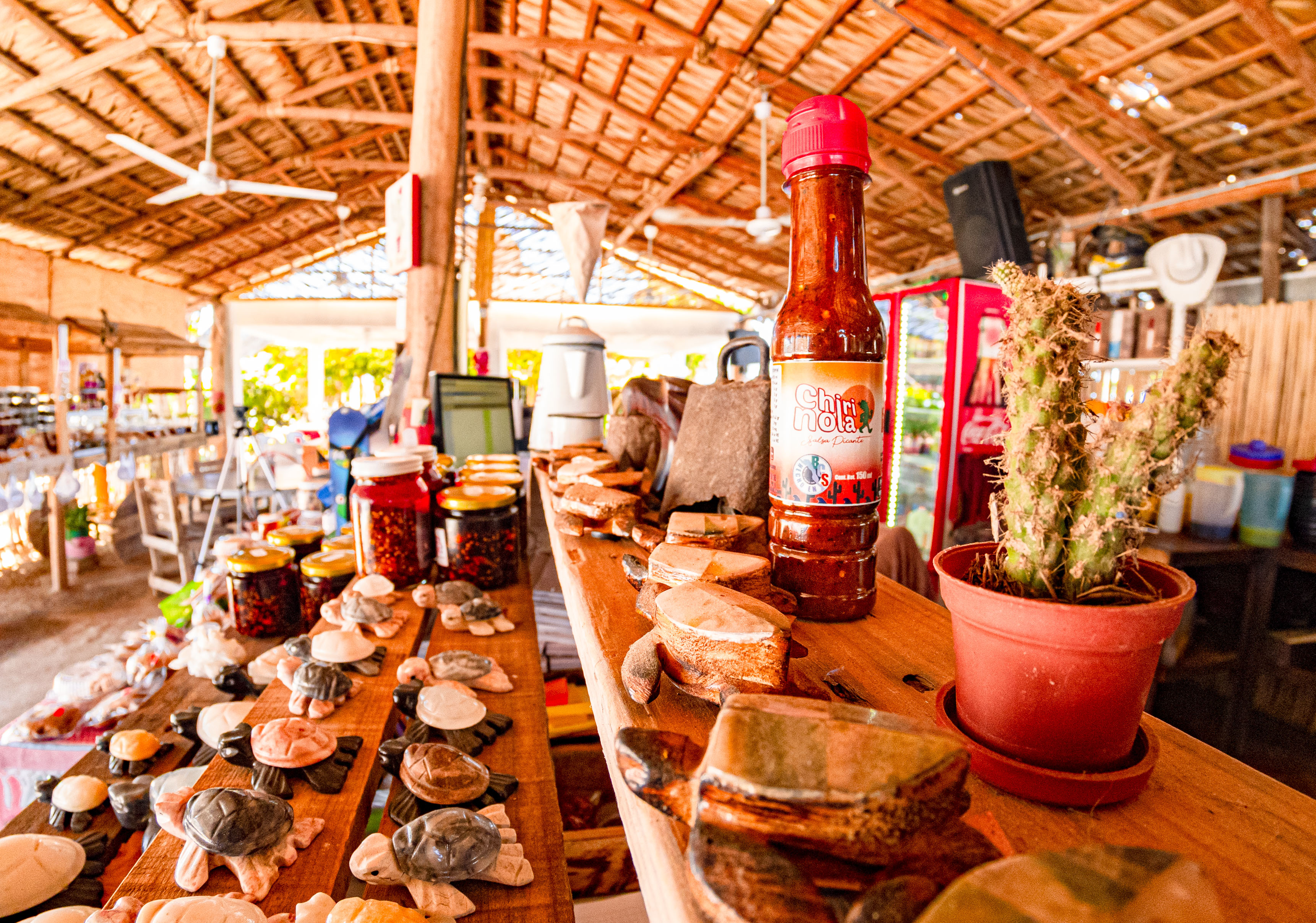 La Garita Del Chilpa image 2