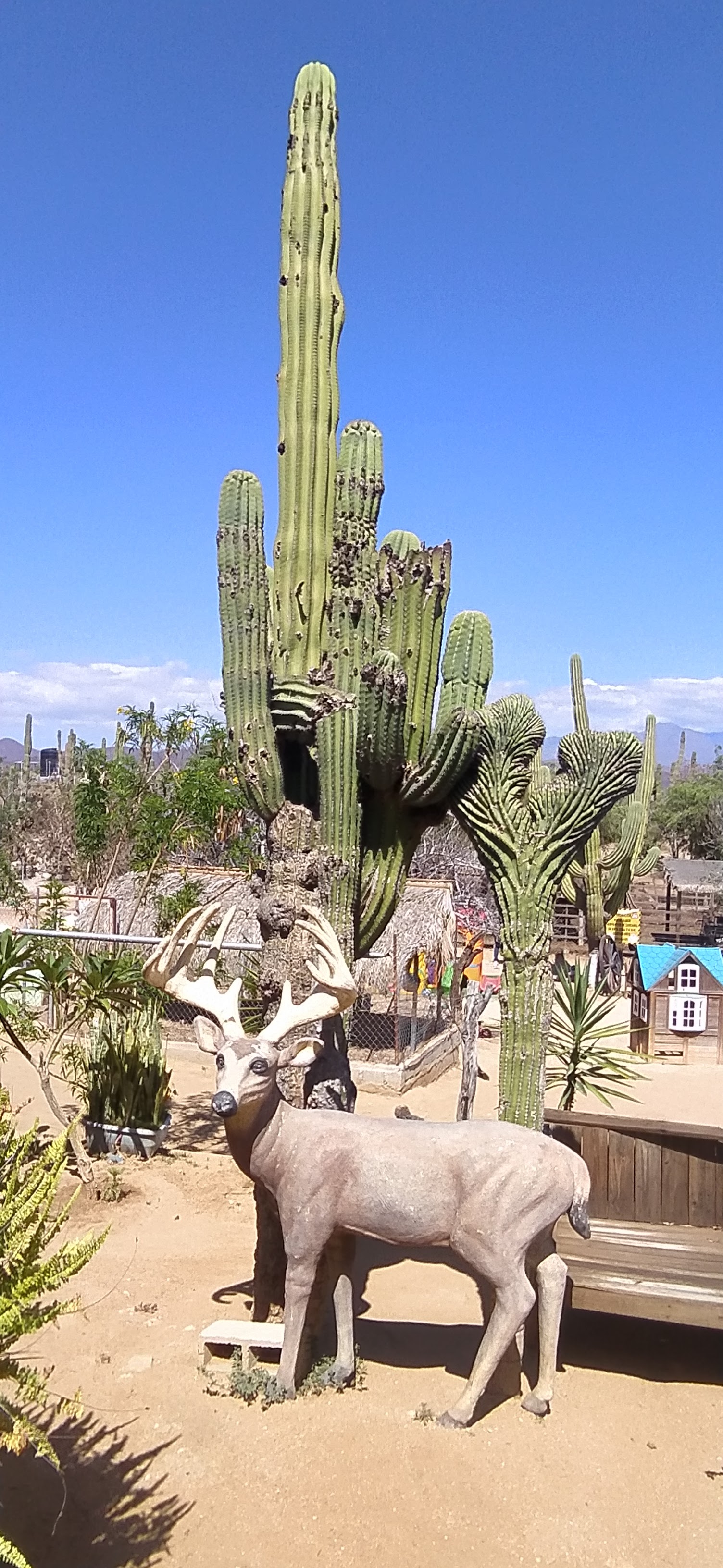 La Garita Del Chilpa image 6