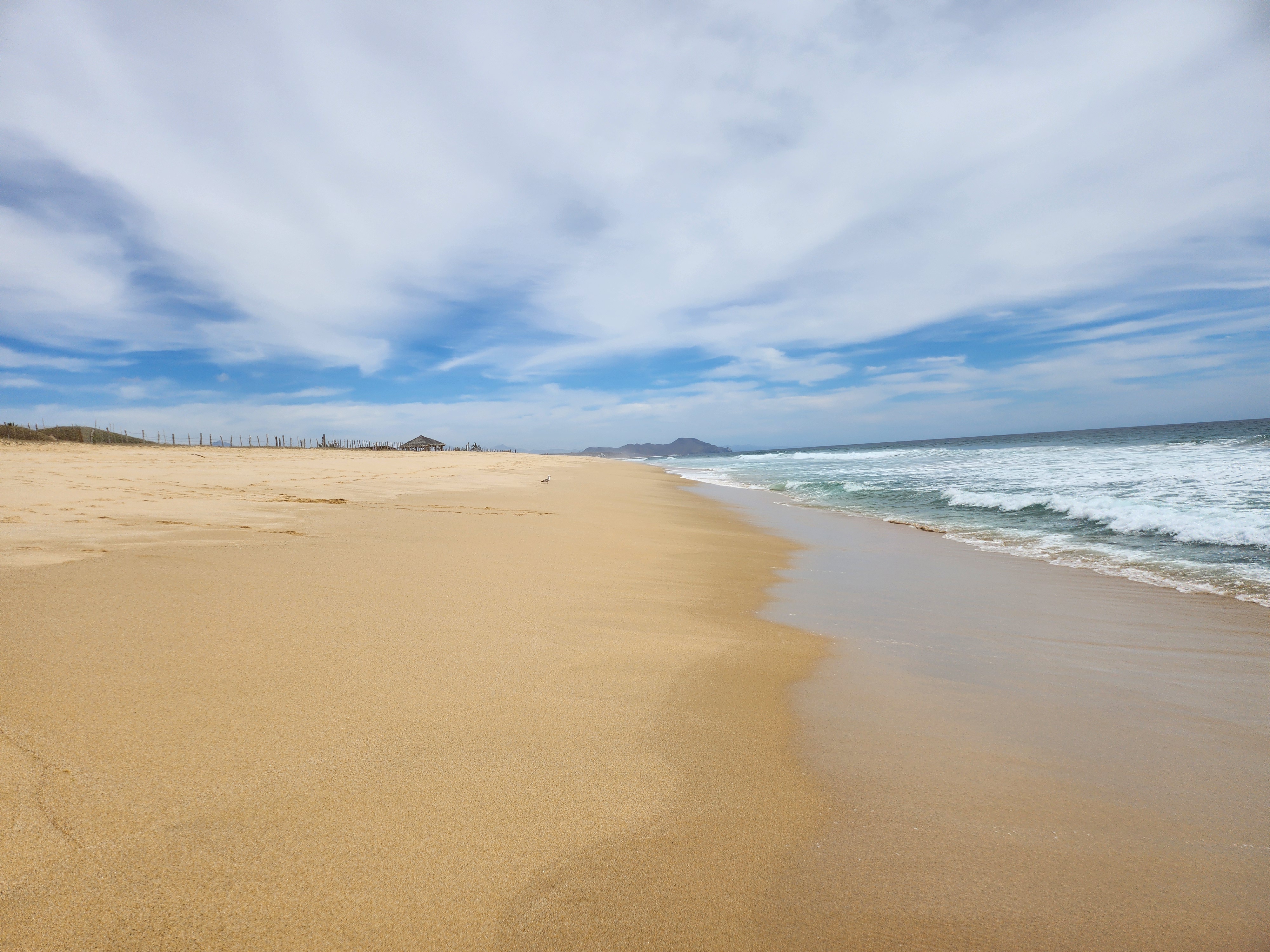 The Green Room image 6