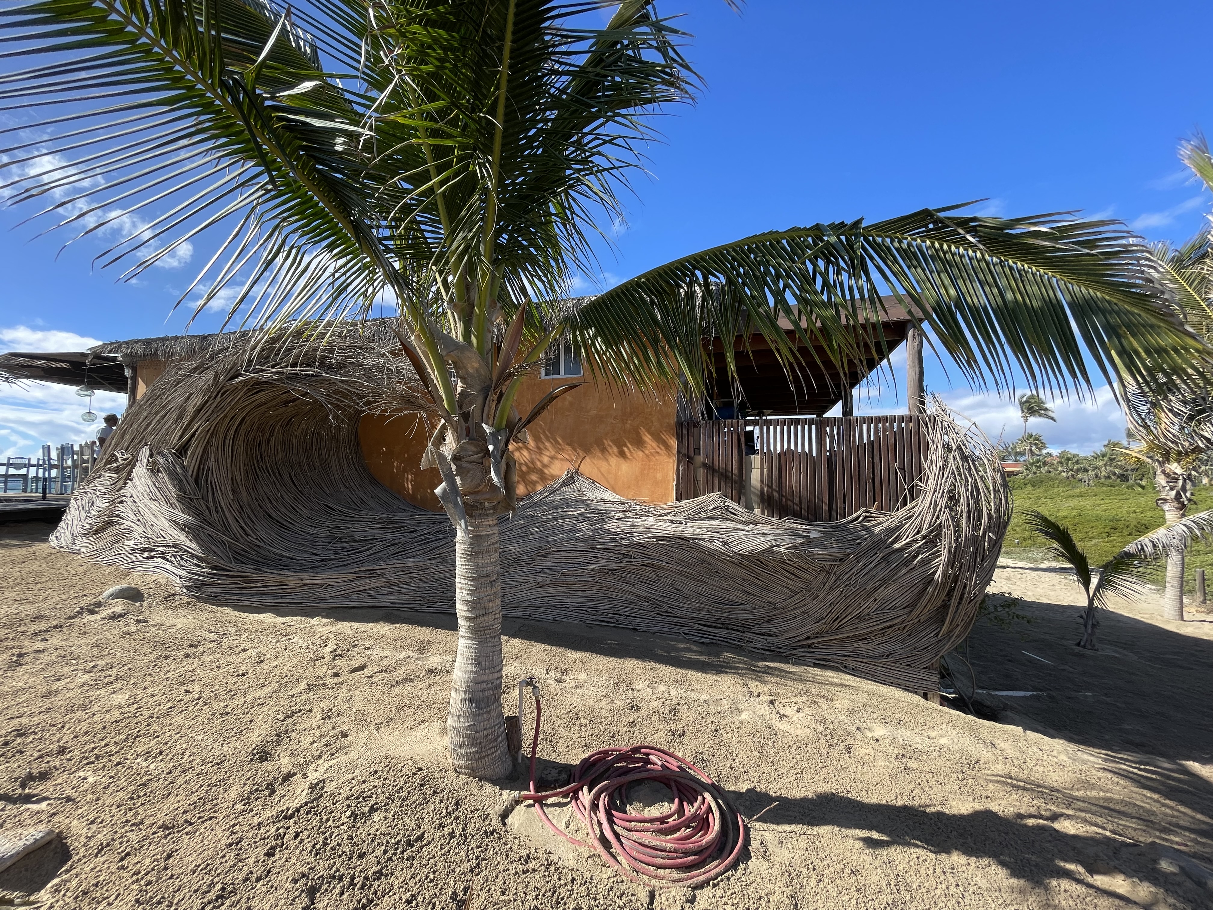 The Green Room image 8