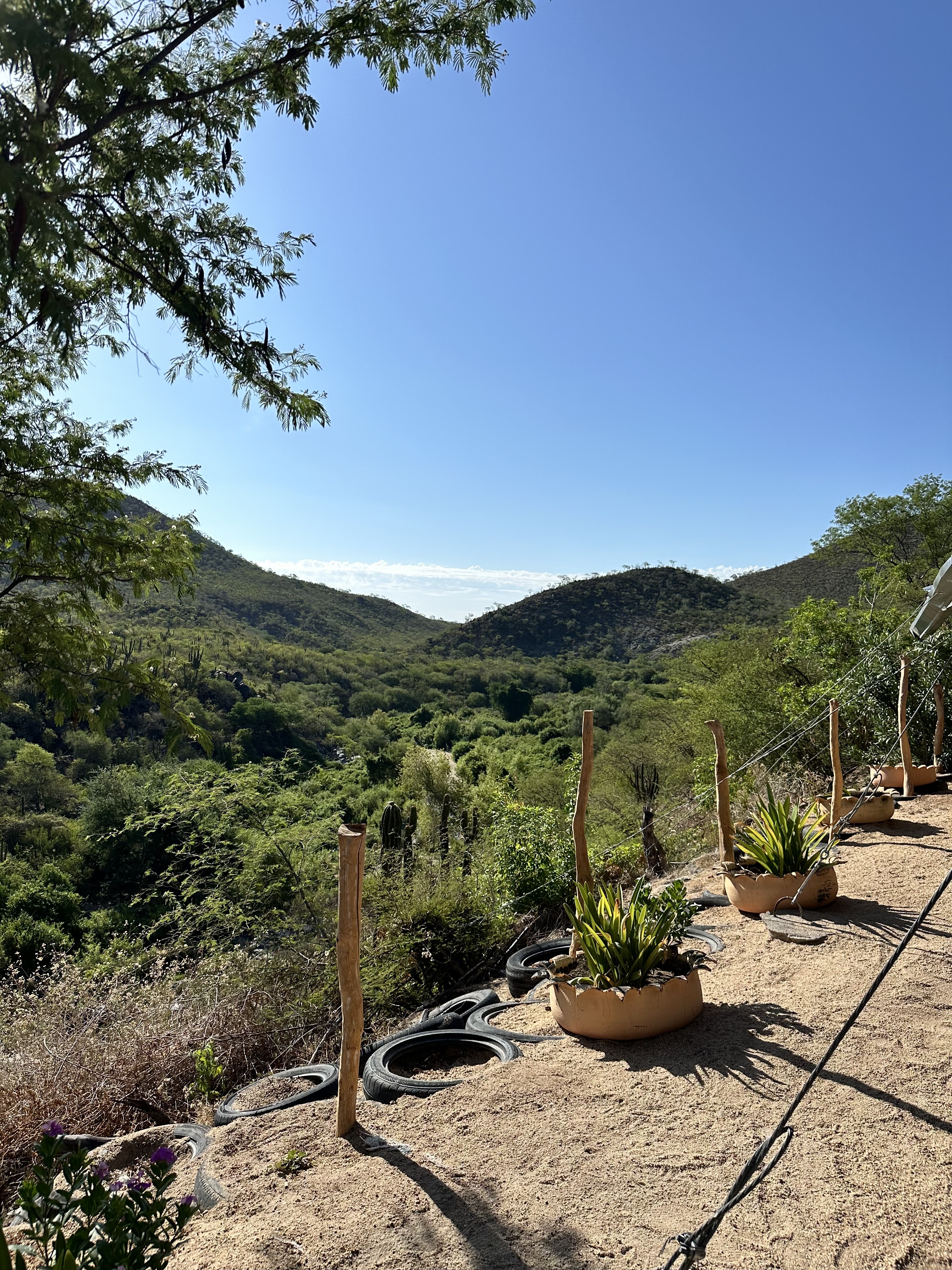 Los Brasiles image 3