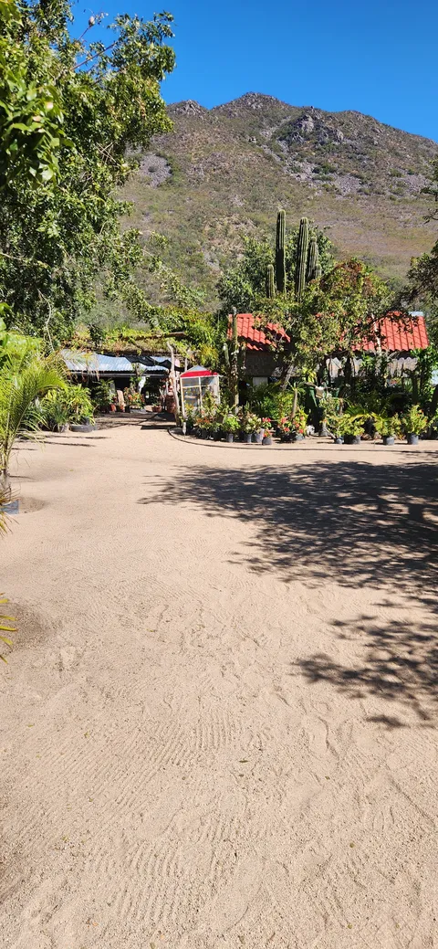 Los Brasiles image 4