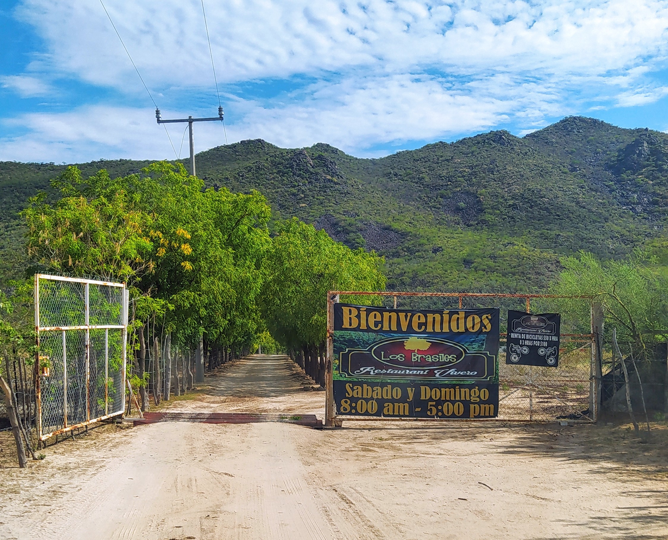 Los Brasiles image 7