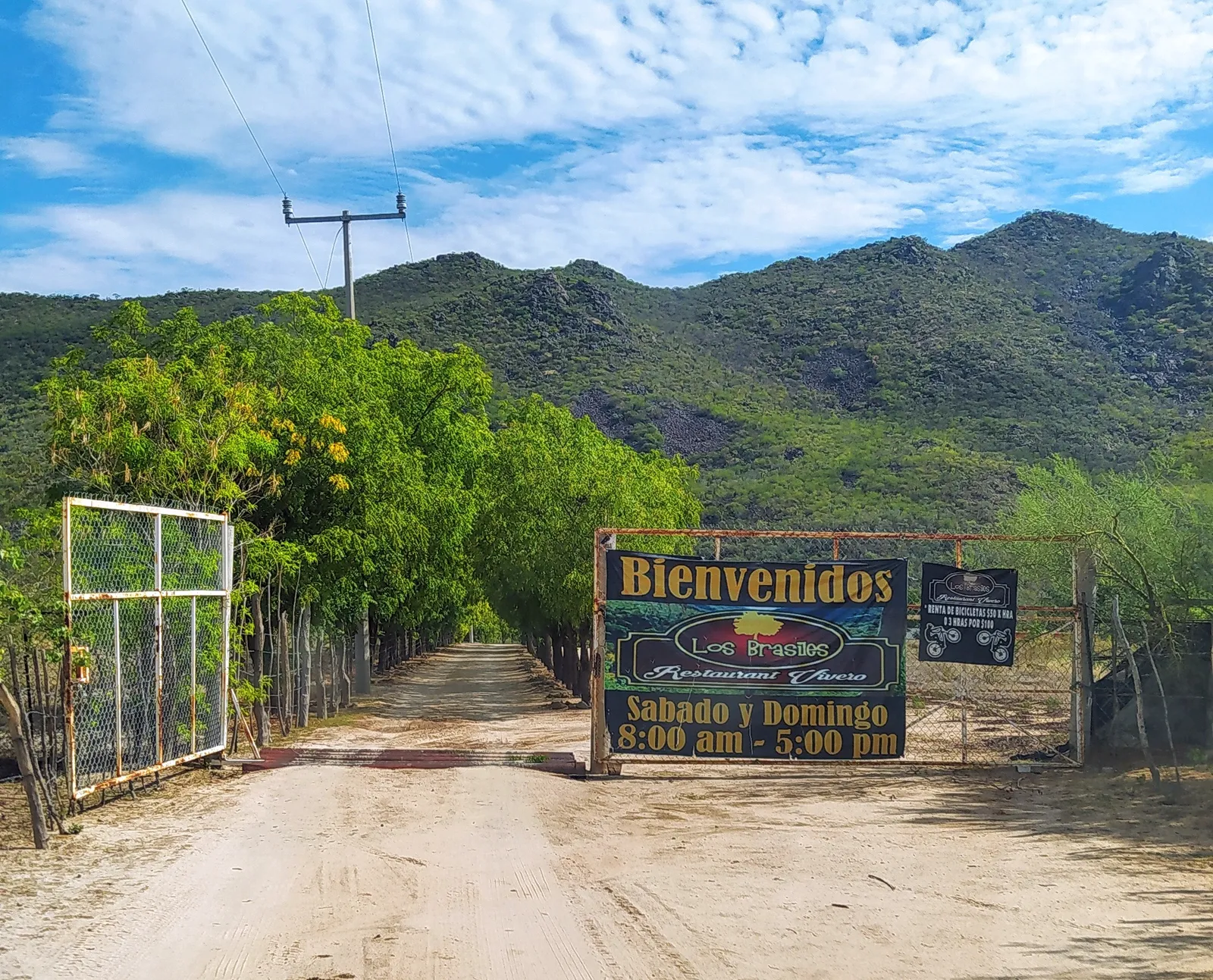 Los Brasiles image 7