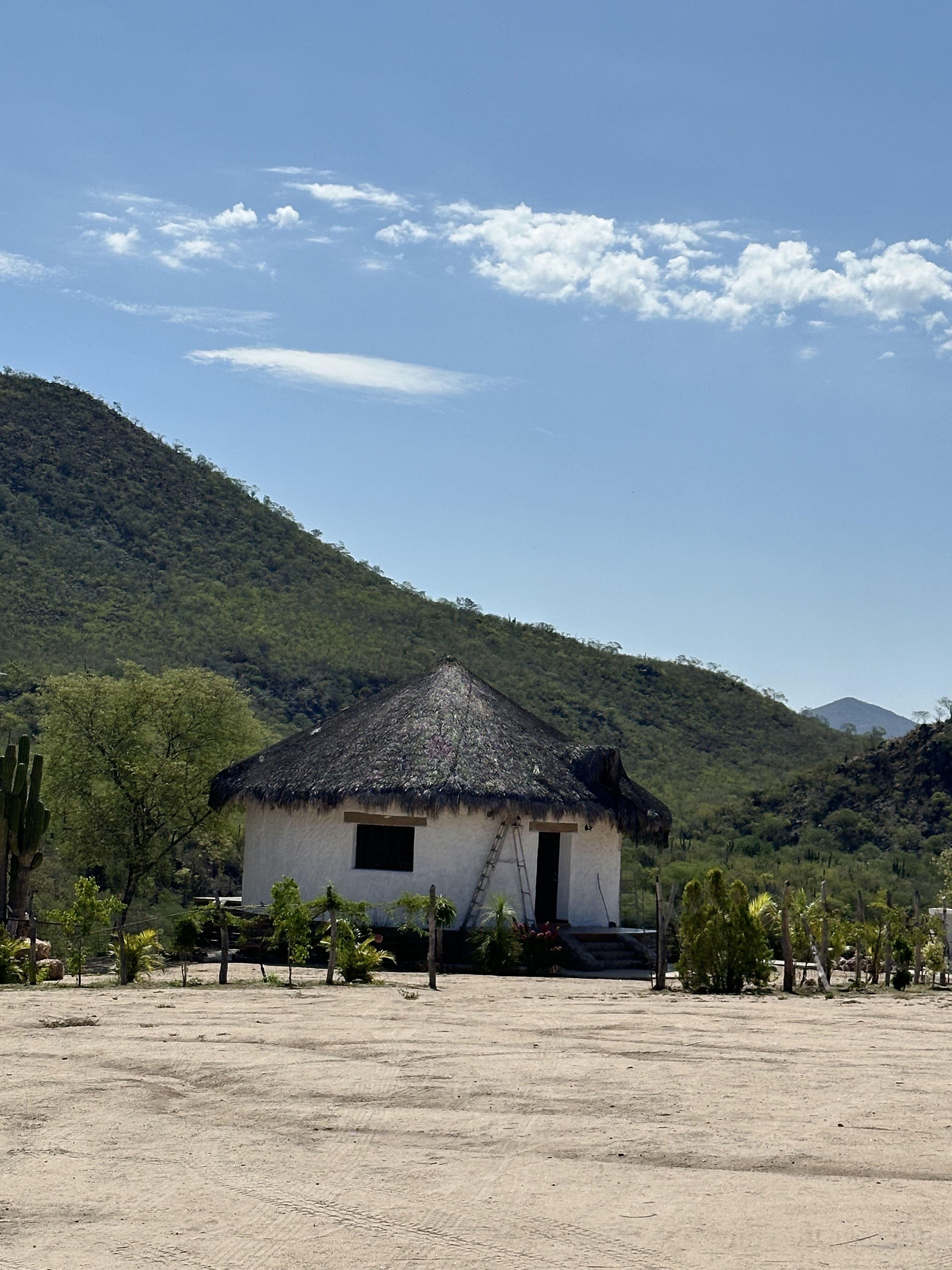 Los Brasiles image 10