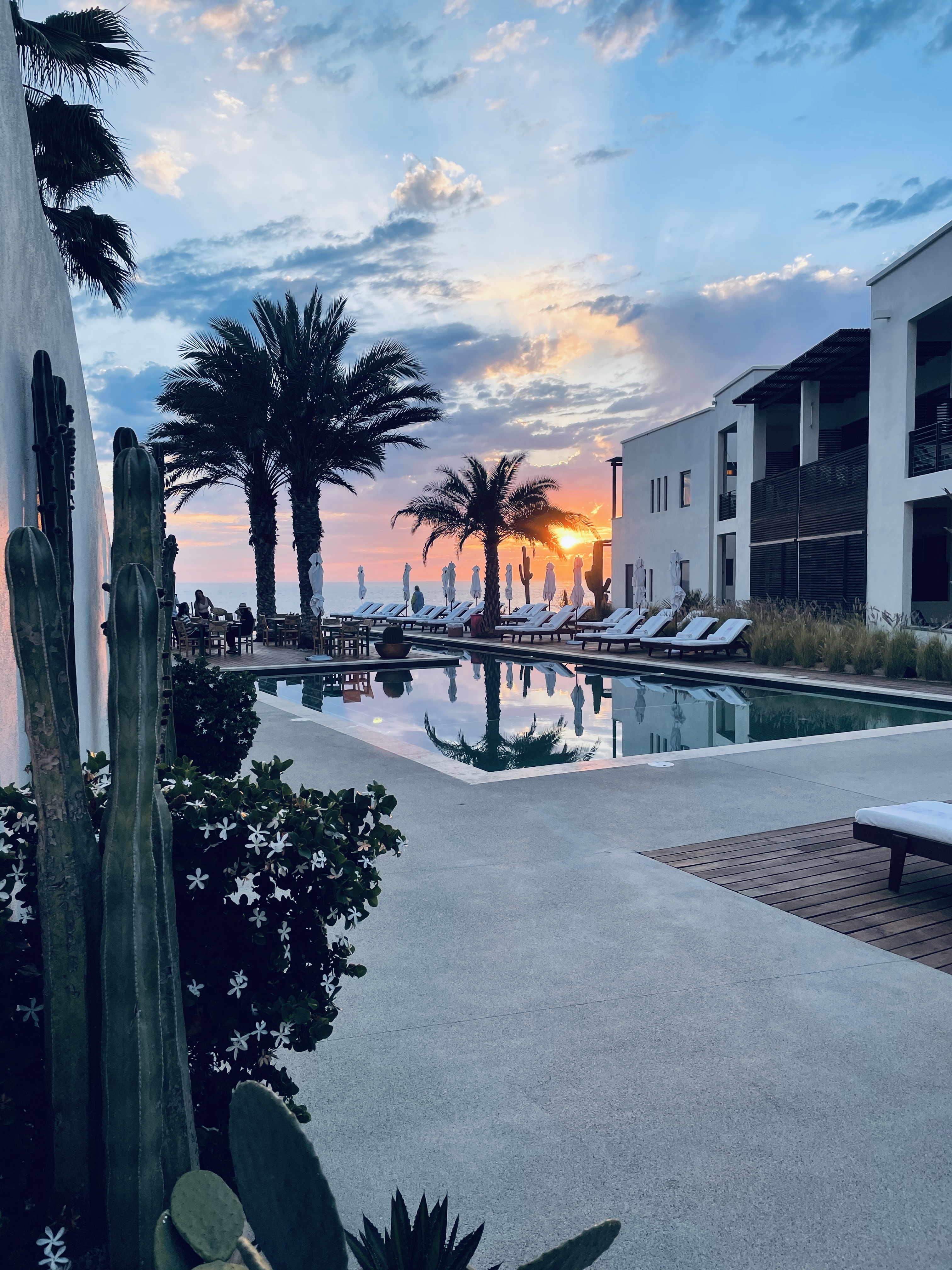 Benno at Hotel San Cristóbal image 5