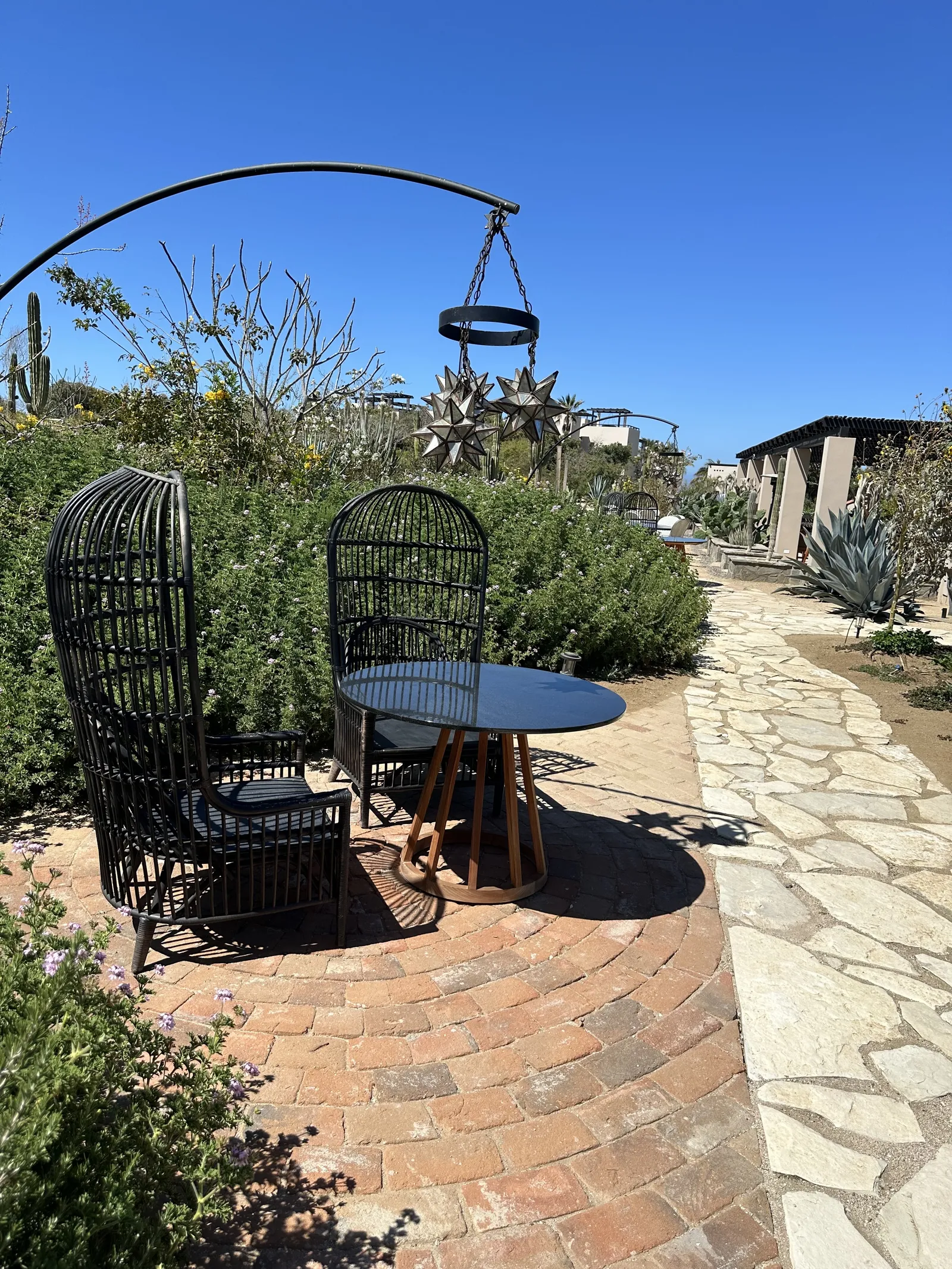 Botanica Restaurant image 1