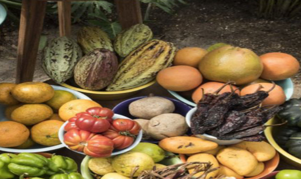 Botanica Restaurant image 2