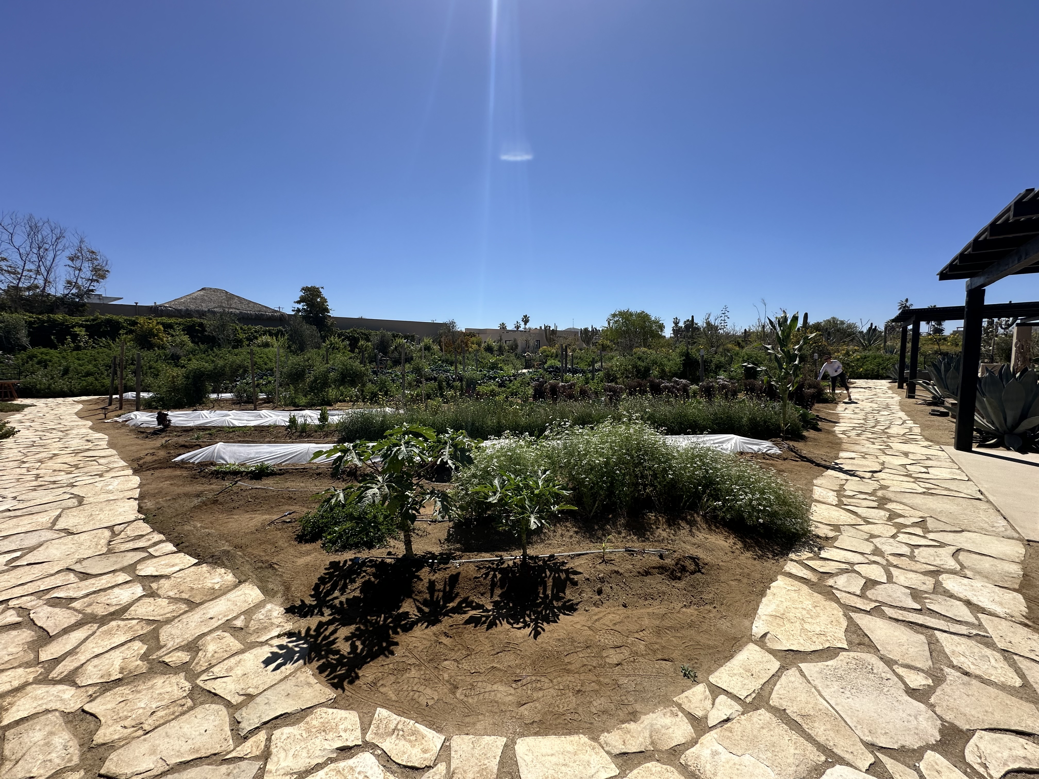 Botanica Restaurant image 8