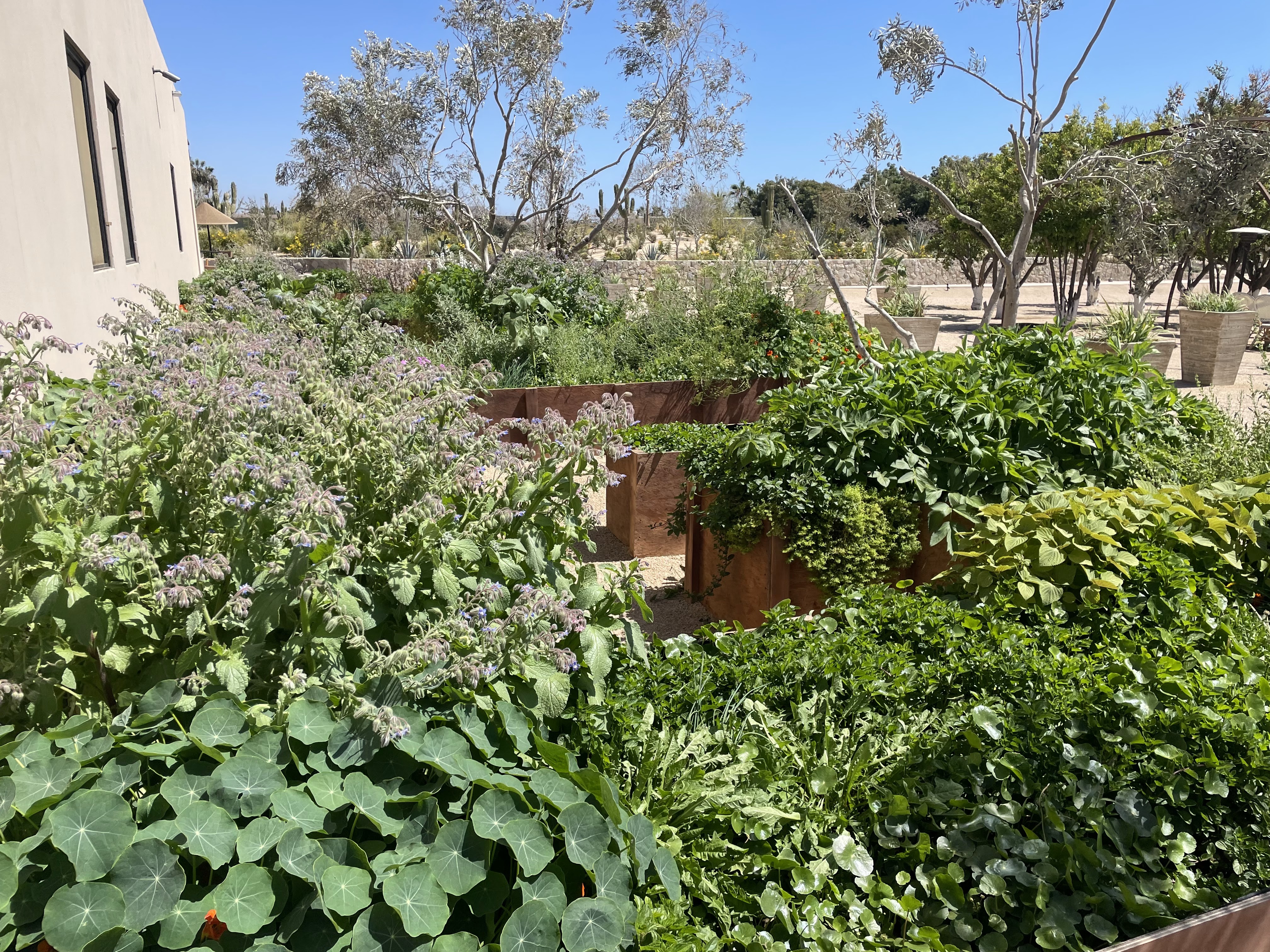 Botanica Restaurant image 10