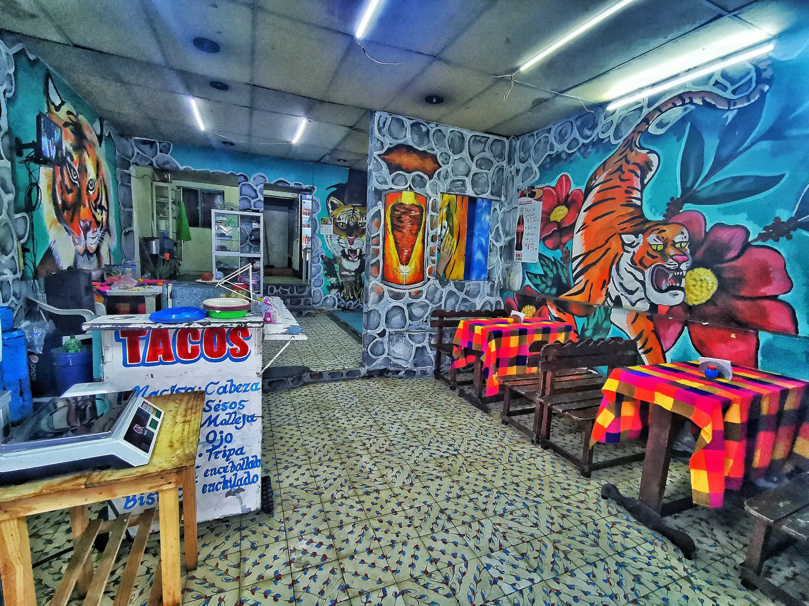 El Tigre image 1