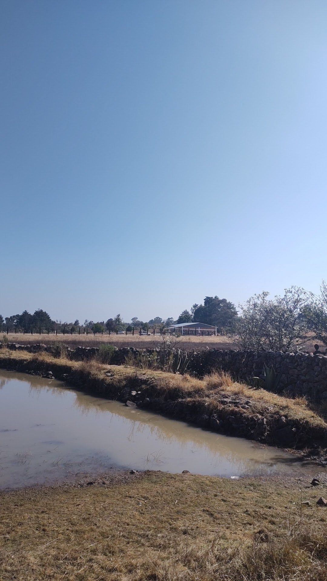 Cocina del sazón image 7