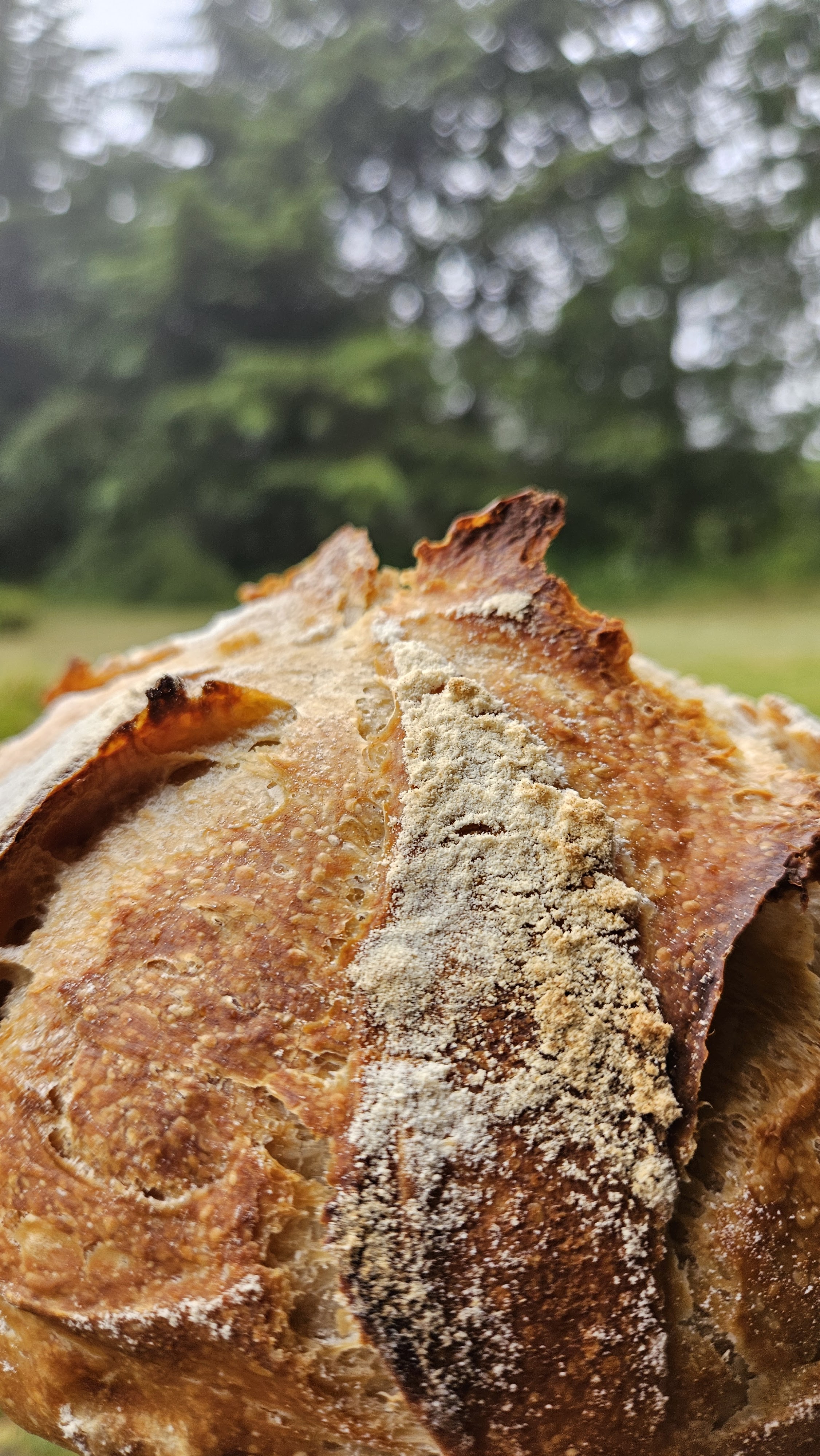 Raíces Cocina Campestre image 3