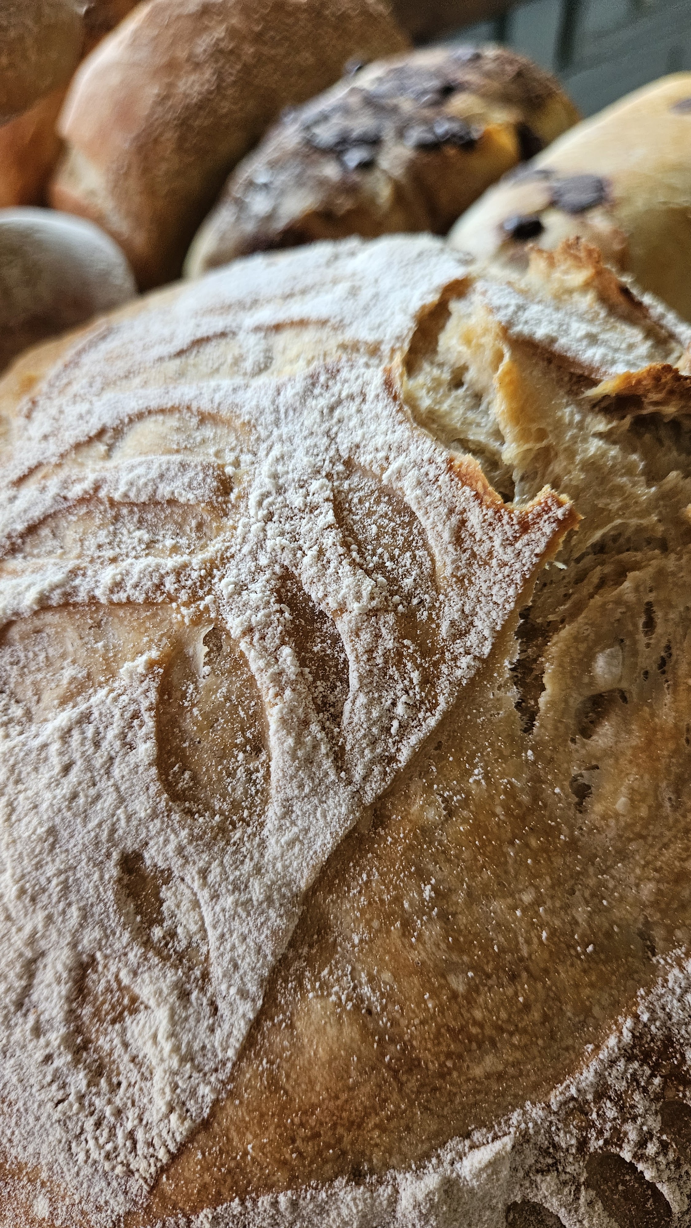 Raíces Cocina Campestre image 4