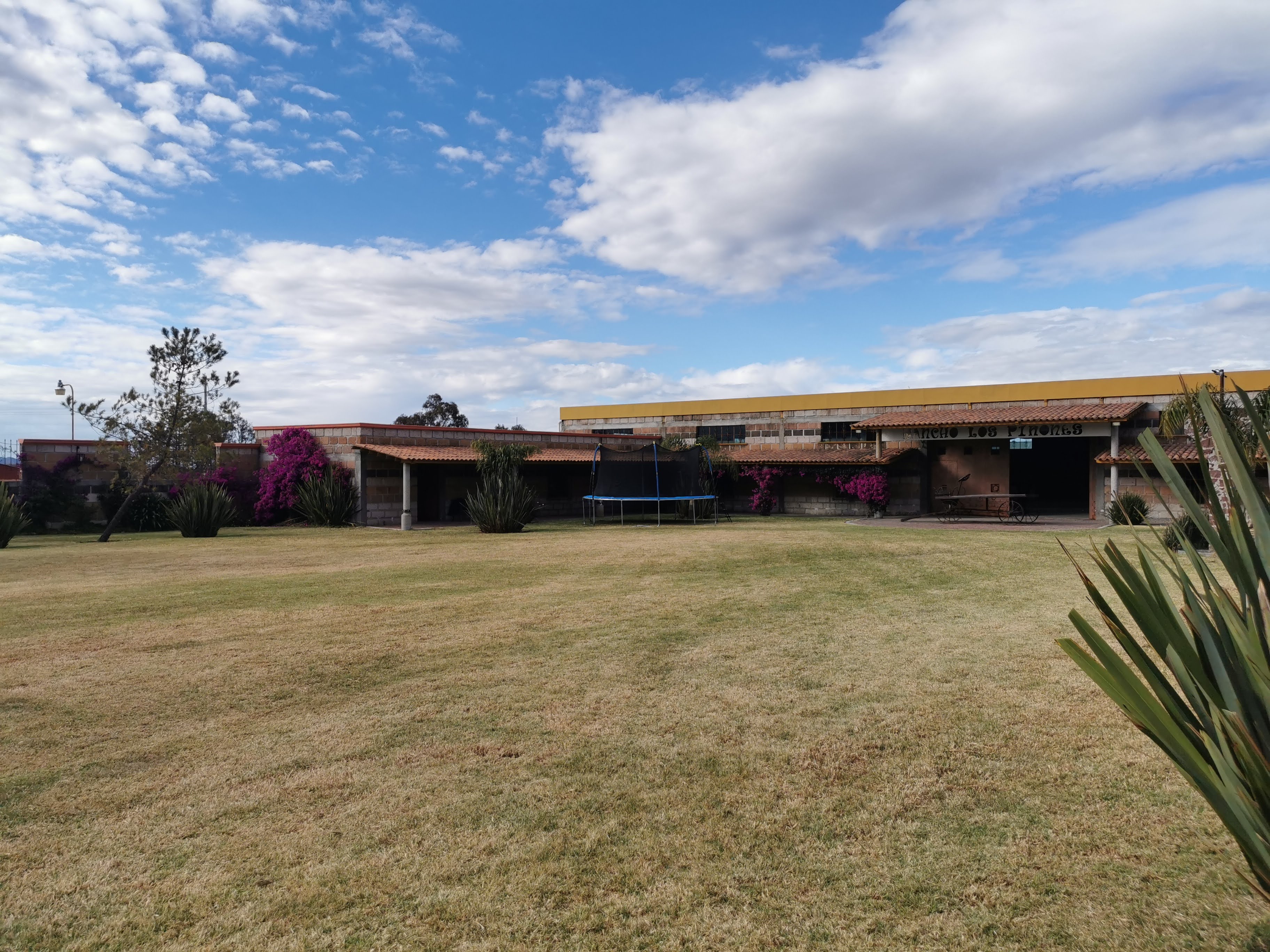 Rancho Los Piñones Amealco image 5