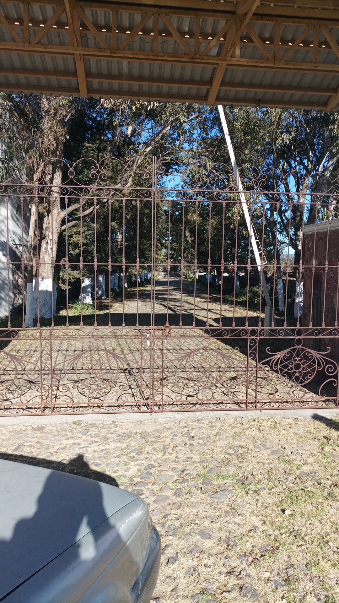 Rancho Los Piñones Amealco image 6