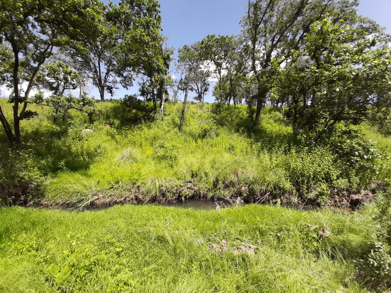 La Palizada Amealco 4Triaventura image 7