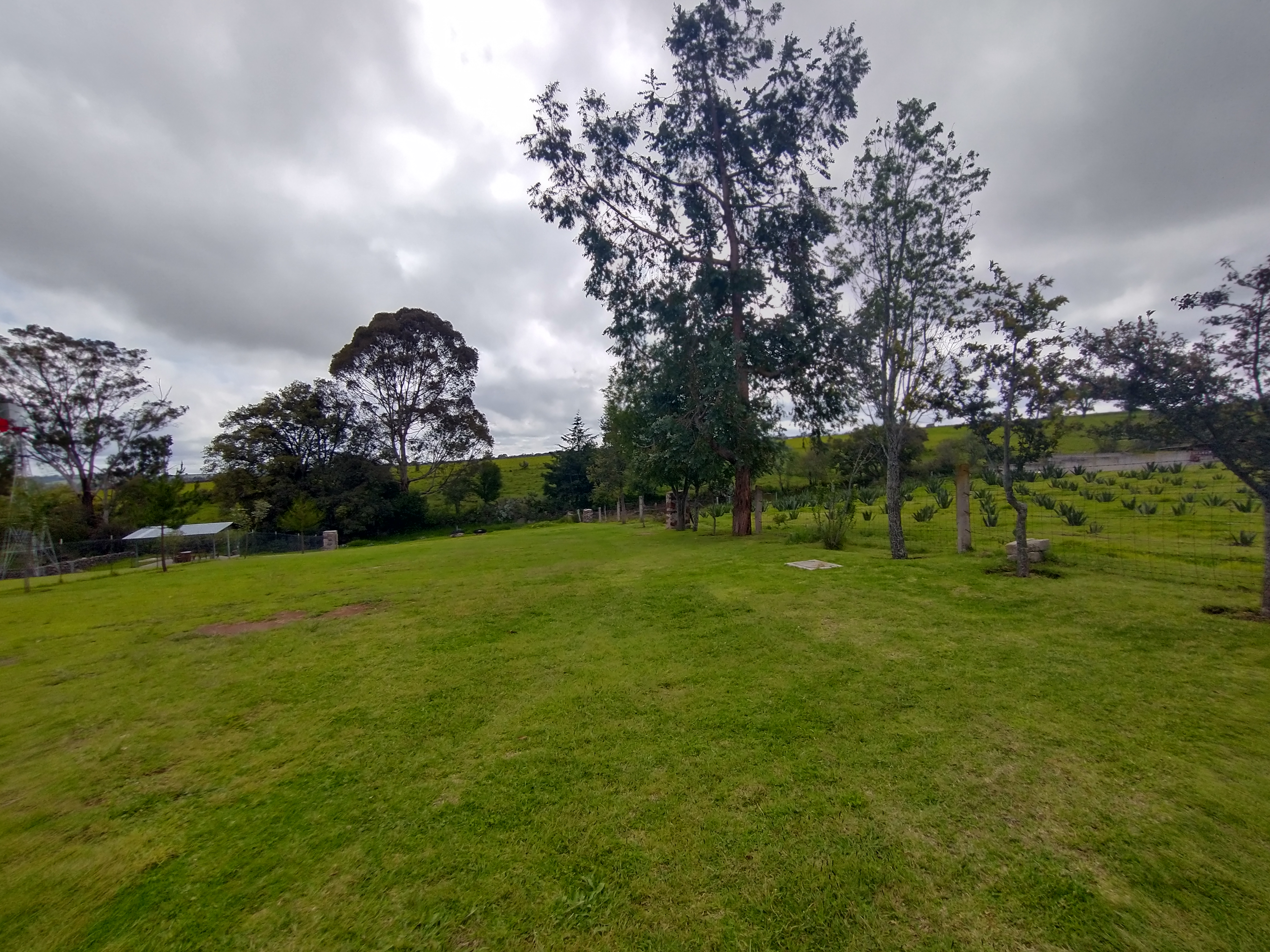 Barbacoa Real Amealco image 4