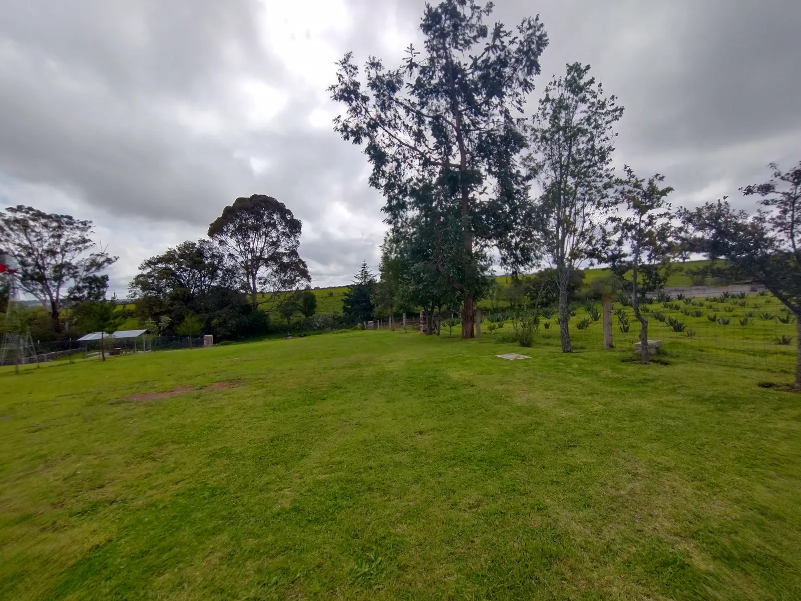 Barbacoa Real Amealco image 4