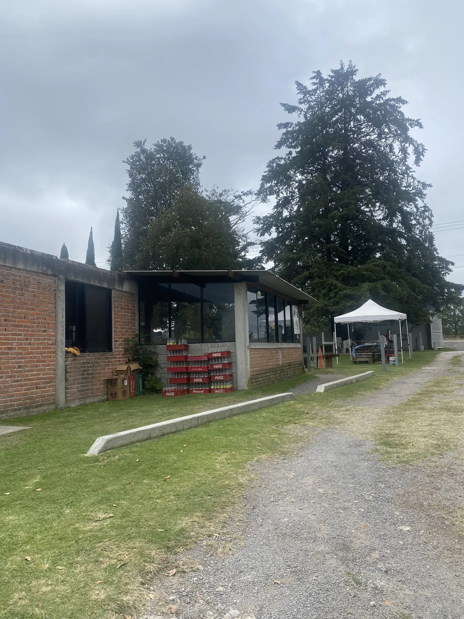 Barbacoa Real Amealco image 8
